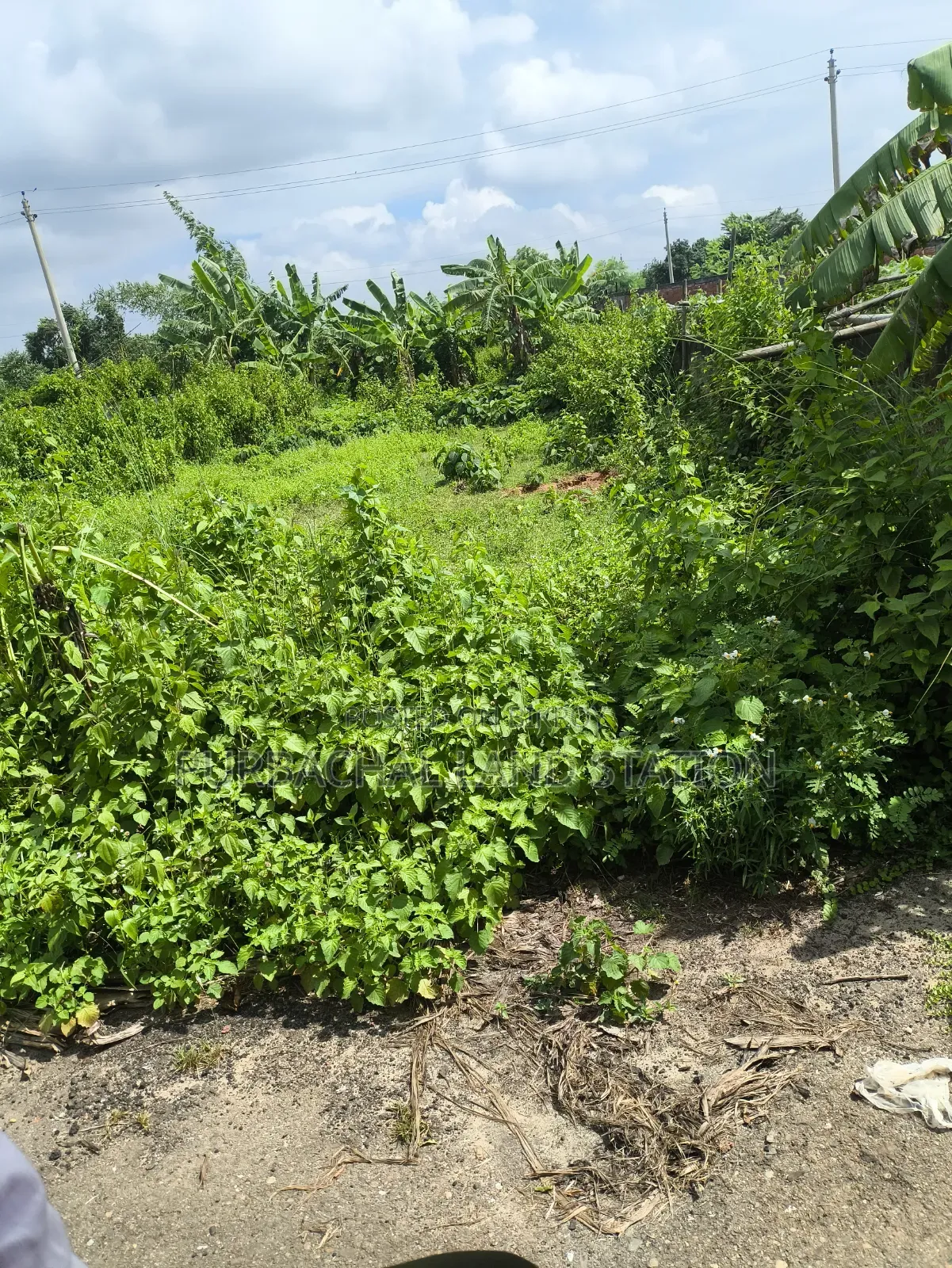 49.69 Katha land for sale near Purbachal to Jolsiri 150-foot road in Purbachal