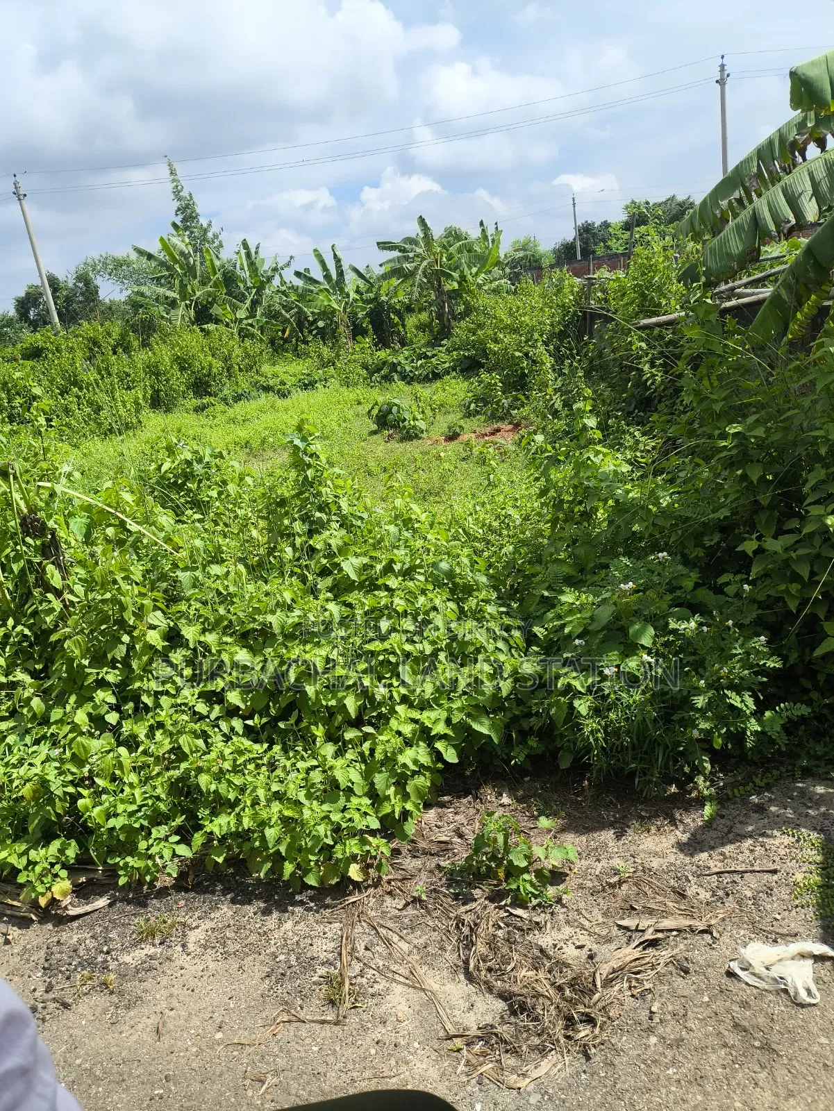 49.69 Katha land for sale near Purbachal to Jolsiri 150-foot road in Purbachal
