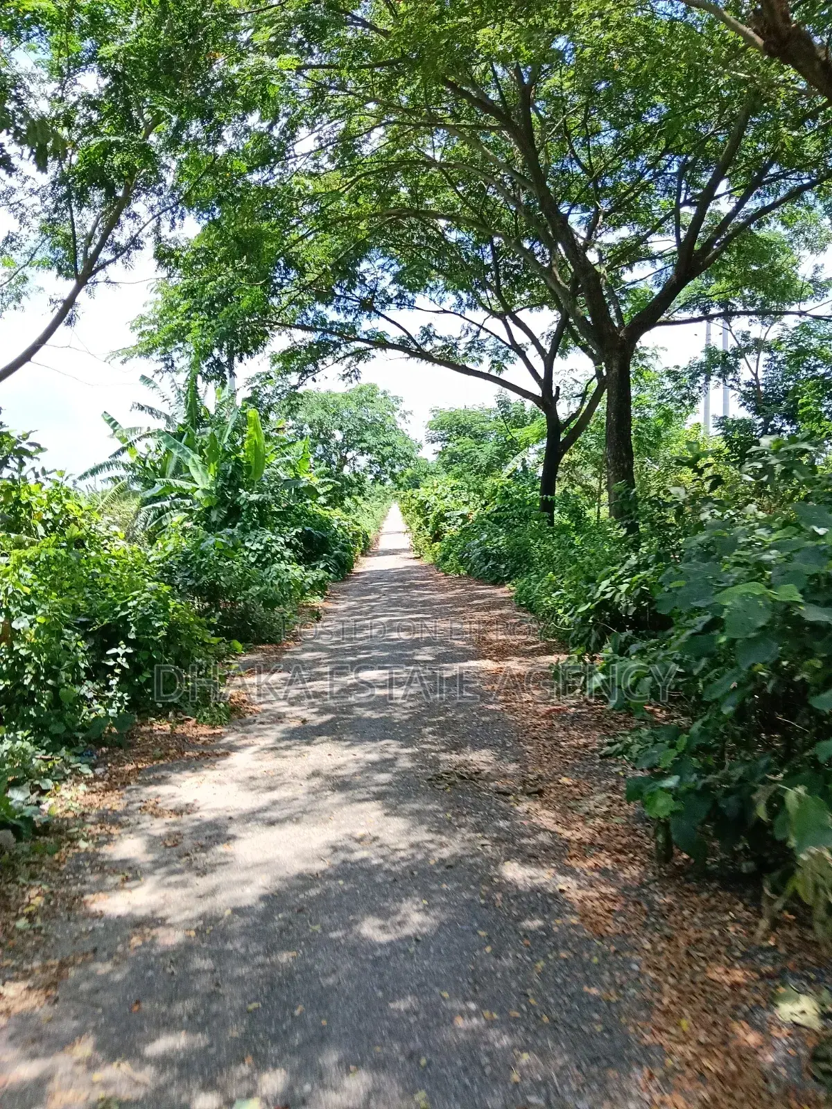 Sector-25, South Face 5 Katha Plot Sale in Purbachal