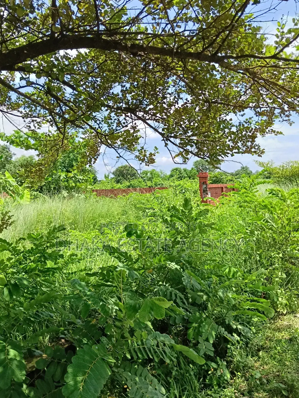 Sector-1, River View Stadium Corner 10 Katha in Purbachal