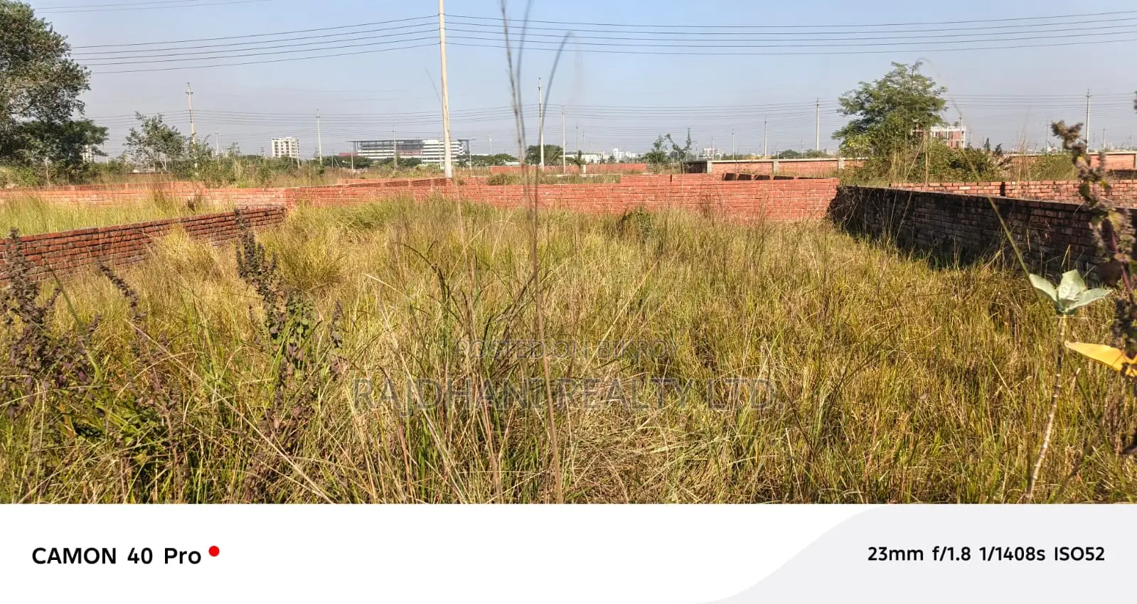3 Katha Plot for Sale in P Block, Bashundhara R/A, Baridhara. in Basundhara