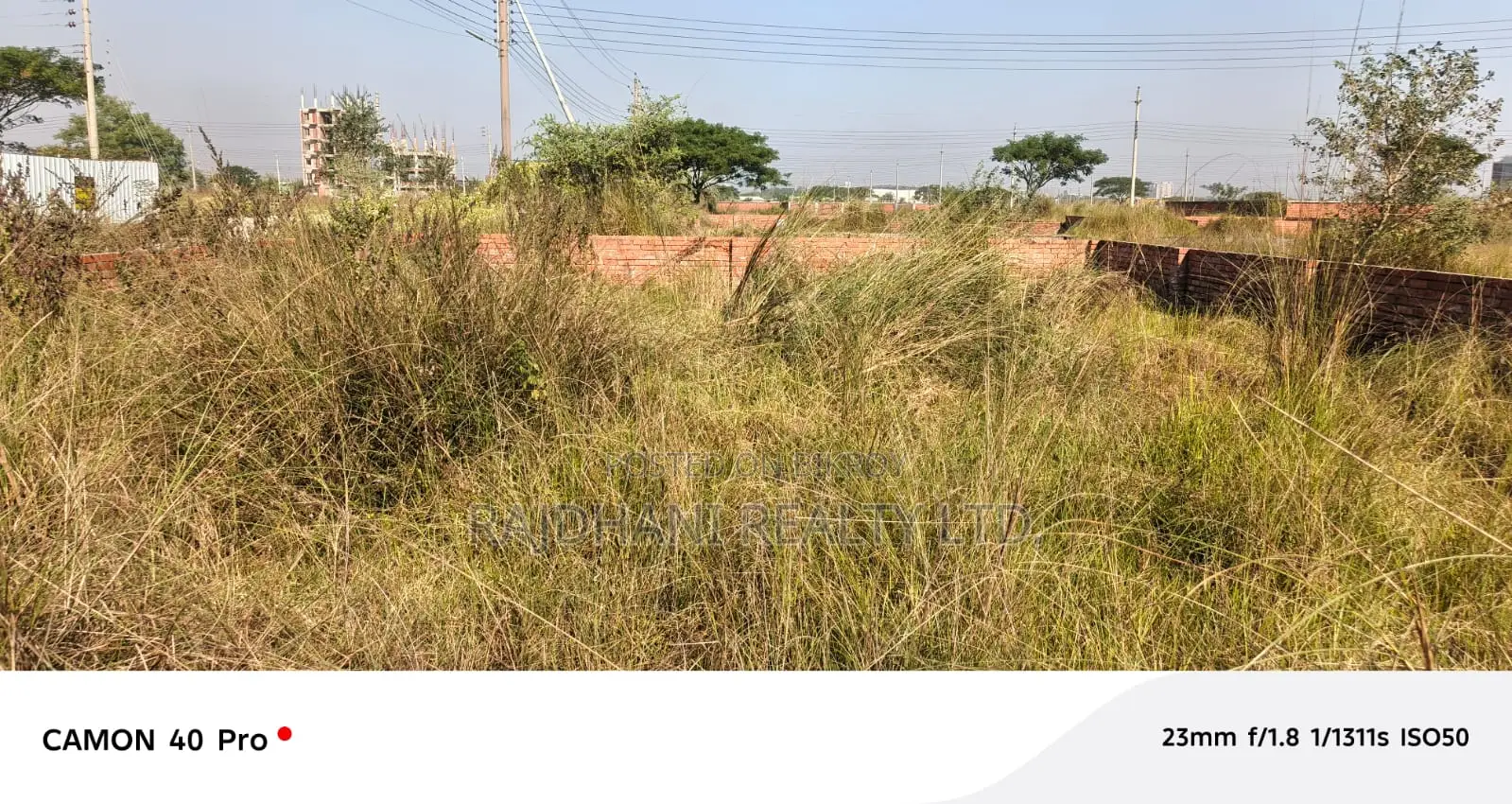 3 Katha Plot for Sale in P Block, Bashundhara R/A, Baridhara. in Basundhara
