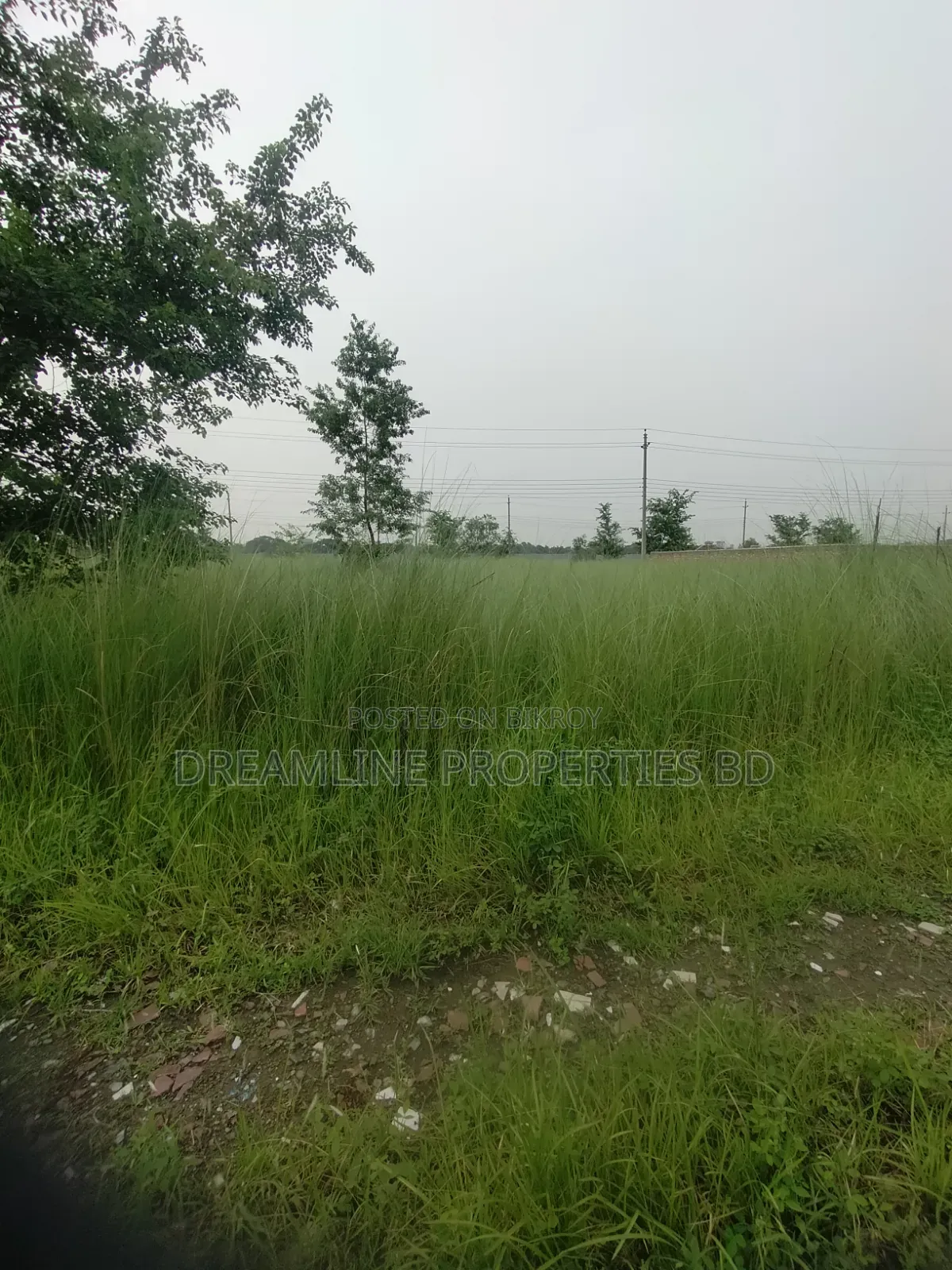 Plot Sell N-Block South Face 3 Katha in Bashundhara in Basundhara