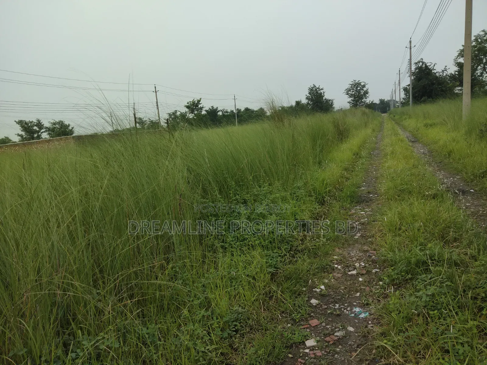 Plot Sell N-Block South Face 3 Katha in Bashundhara in Basundhara