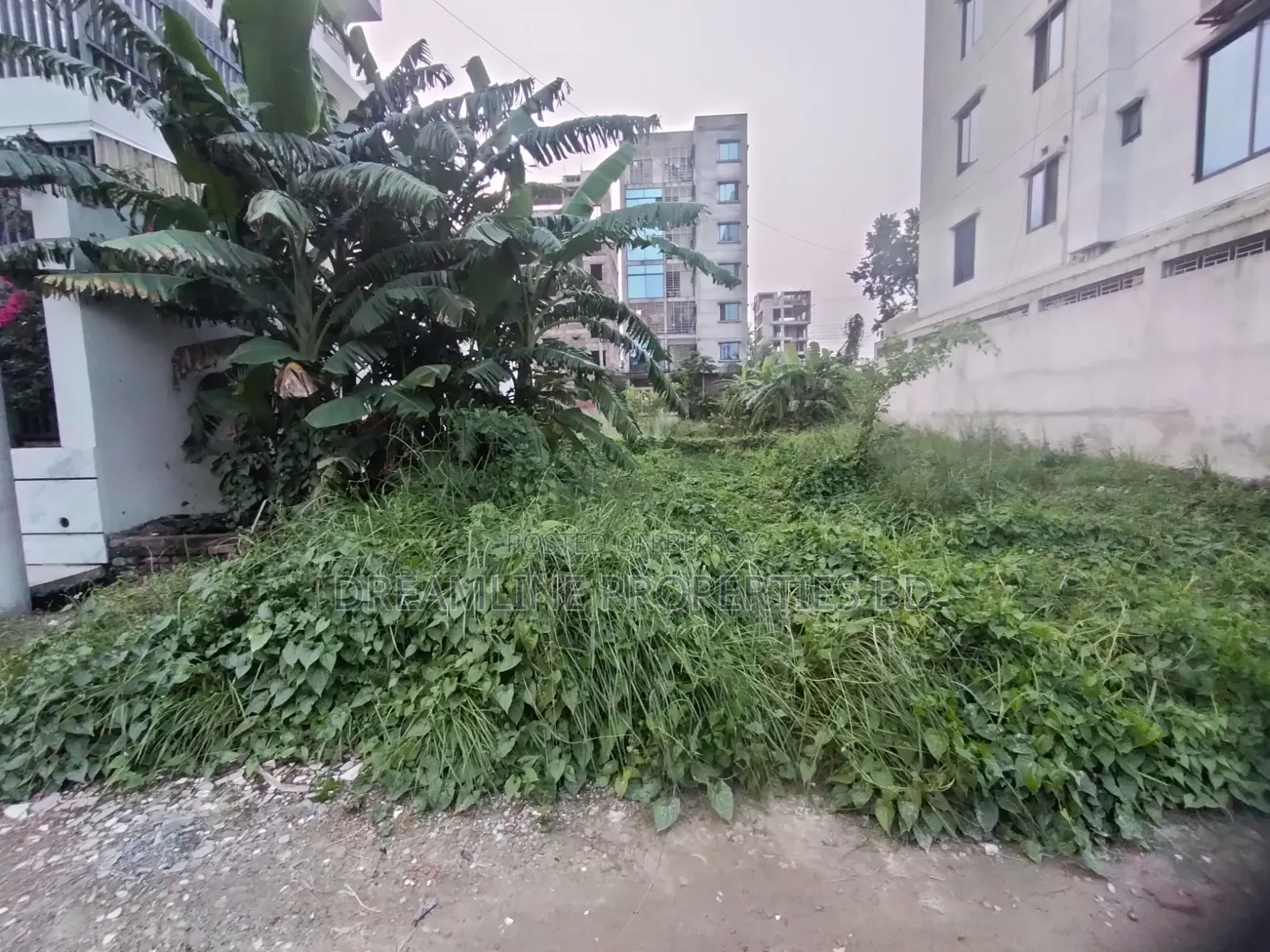 G-Block 4 Katha South Facing Plot for Sale in Bashundhara R/A in Basundhara
