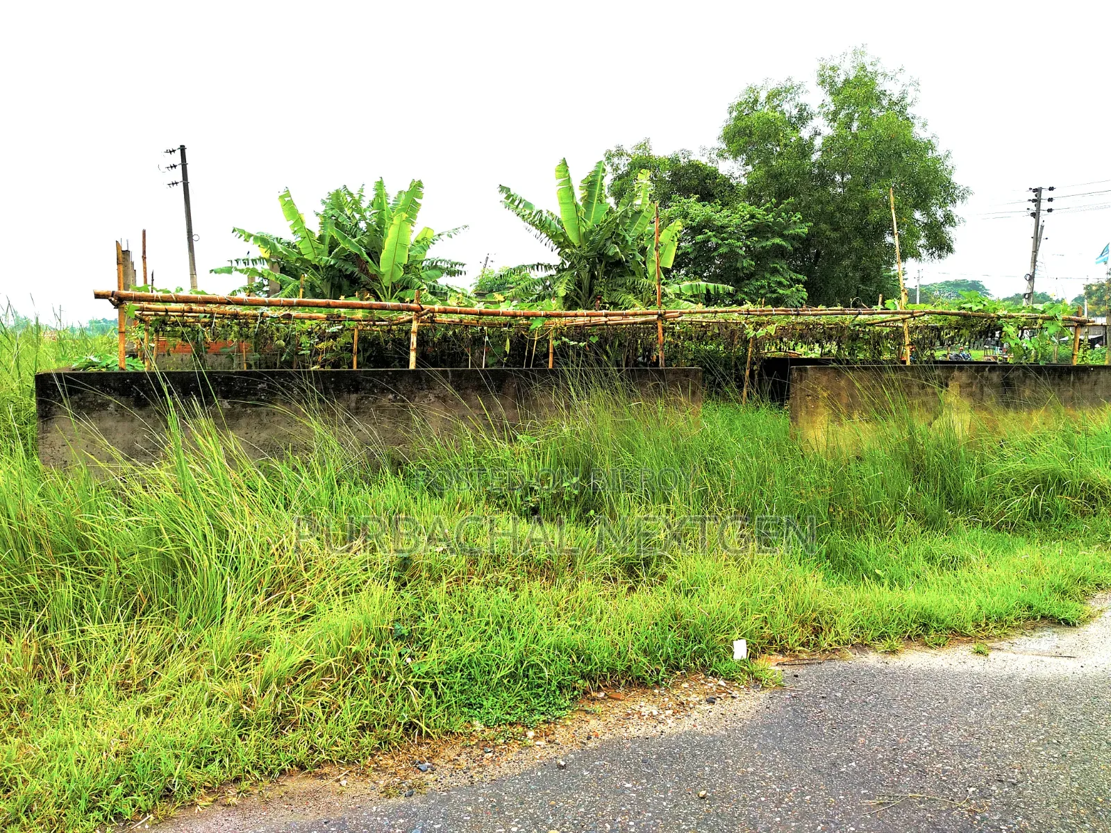 5 Katha East Facing Plot for Sale Near Lake at Sector 22, Purbachal in Purbachal