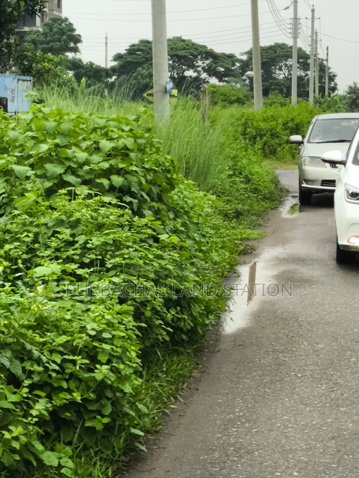 54 Ft Road South-East Corner 5 Katha Plot Sale Sector:15, Purbachal. in Purbachal