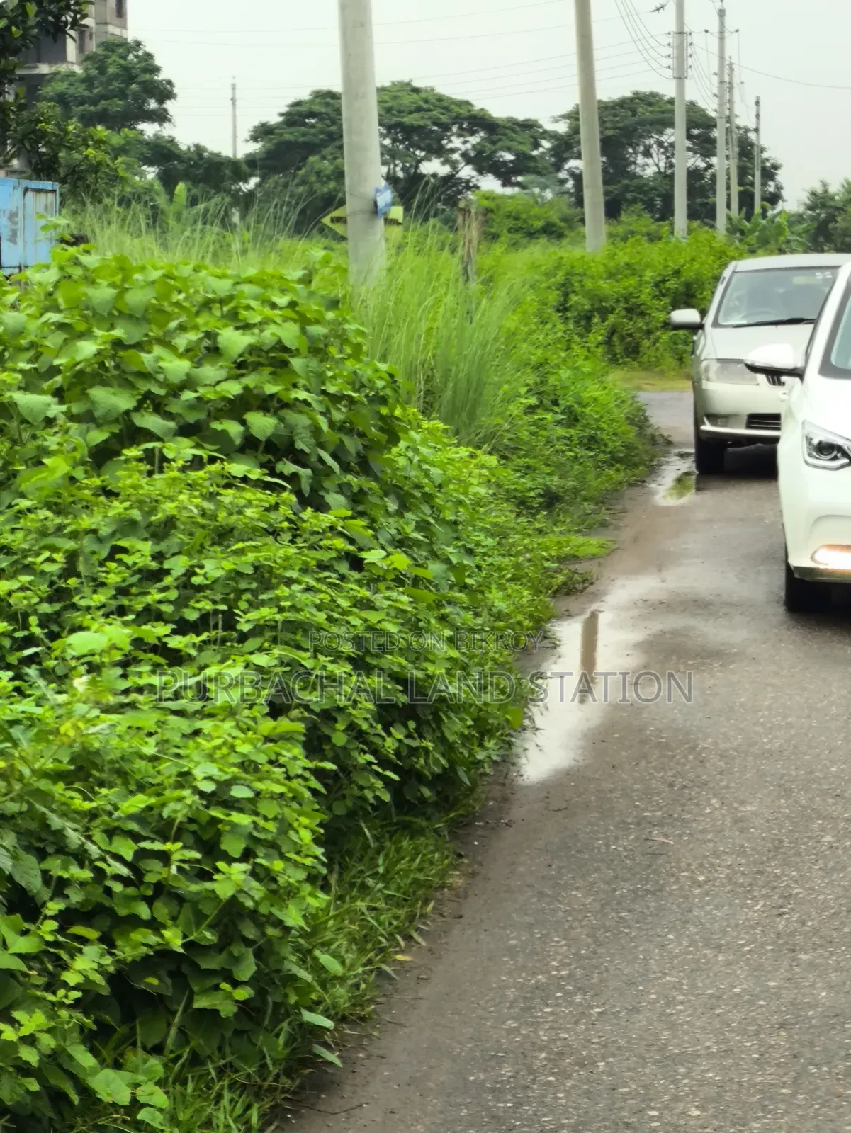 54 Ft Road South-East Corner 5 Katha Plot Sale Sector:15, Purbachal. in Purbachal