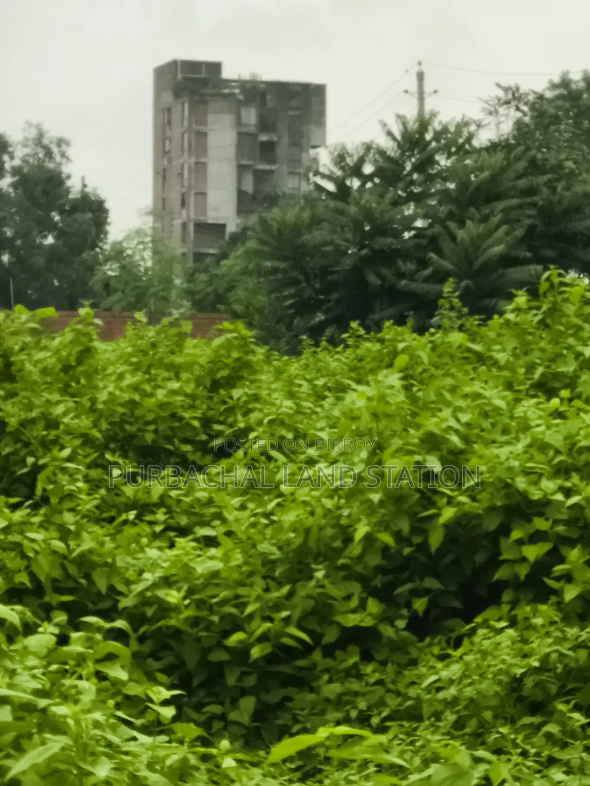 54 Ft Road South-East Corner 5 Katha Plot Sale Sector:15, Purbachal. in Purbachal
