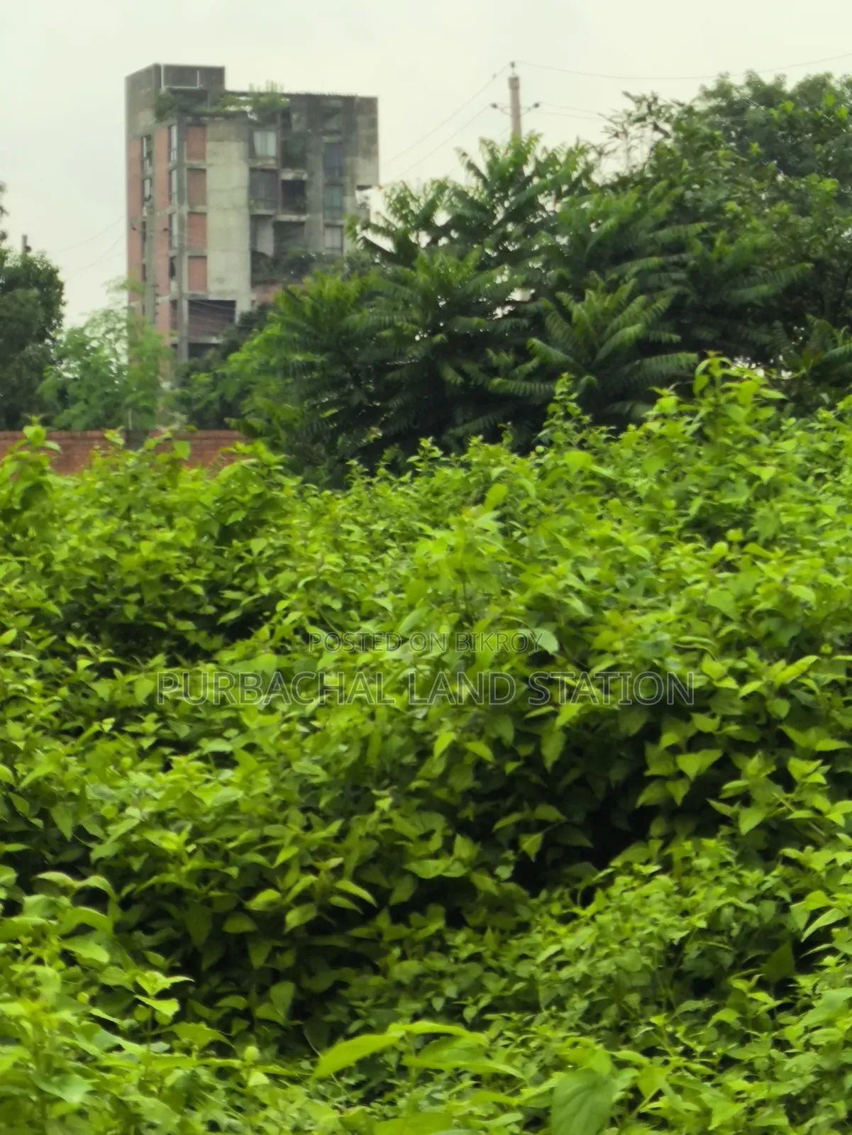 54 Ft Road South-East Corner 5 Katha Plot Sale Sector:15, Purbachal. in Purbachal