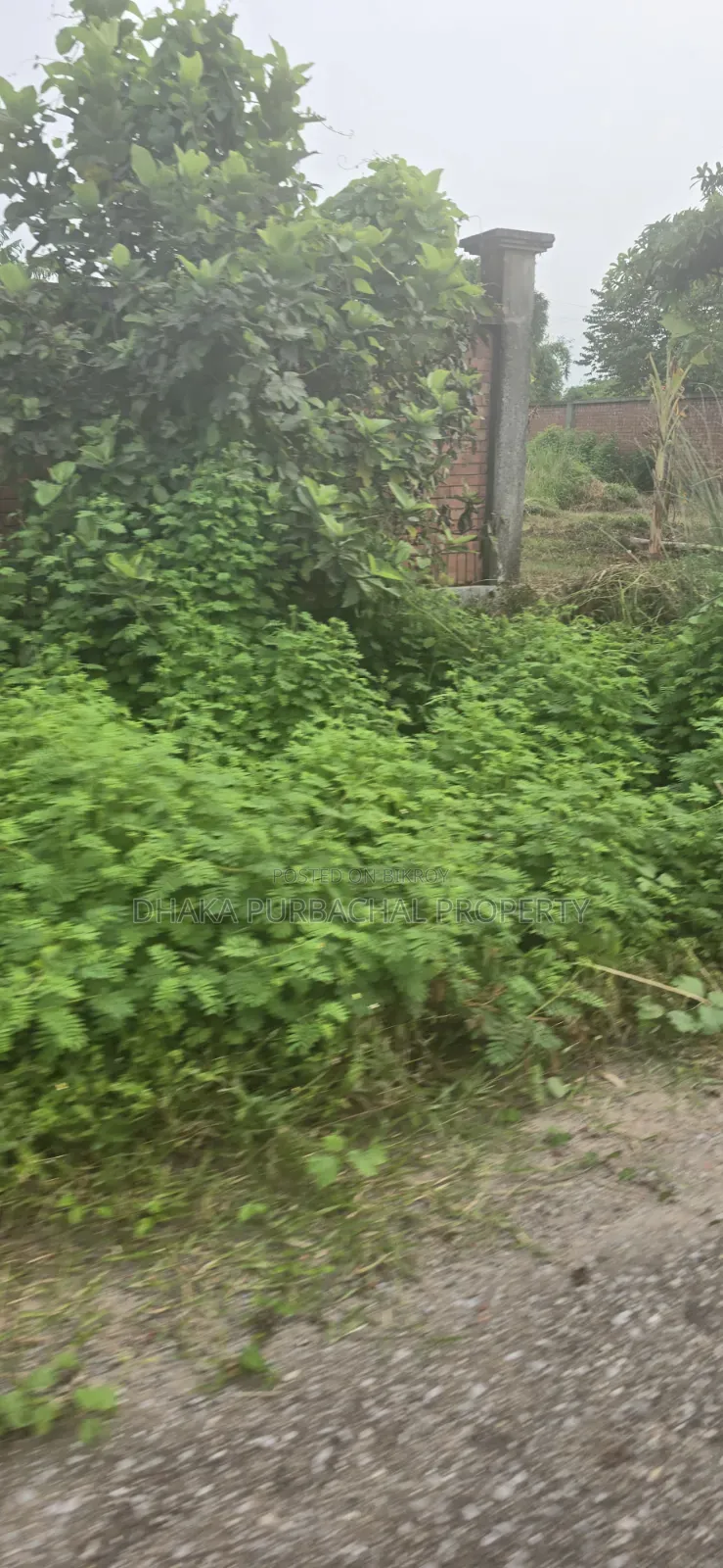 Rajuk Purbachal 3 Katha South Facing Plot in Purbachal