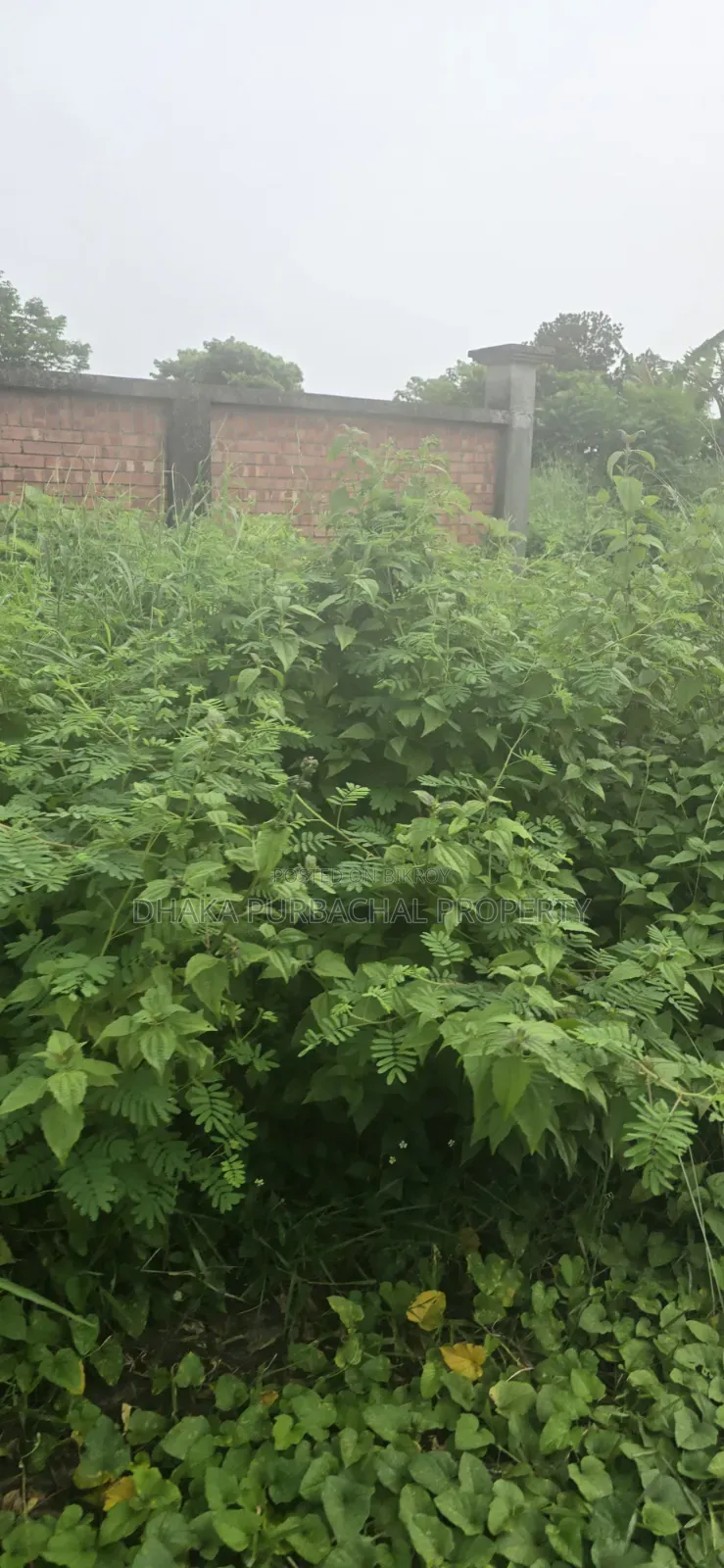 Rajuk Purbachal 3 Katha South Facing Plot in Purbachal