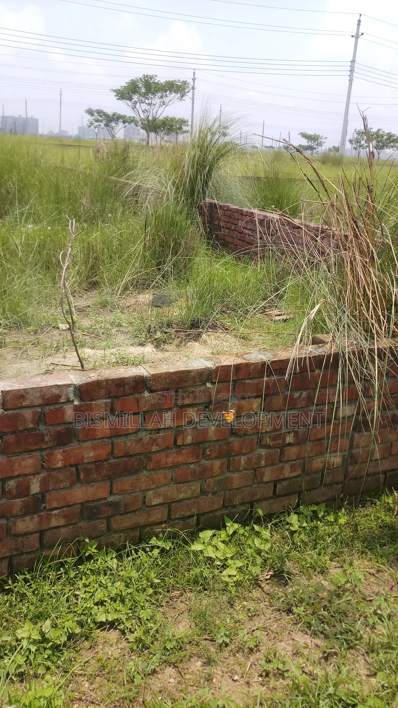 P-Block 3 Katha South Phase Plot Bashundhara R/A in Basundhara