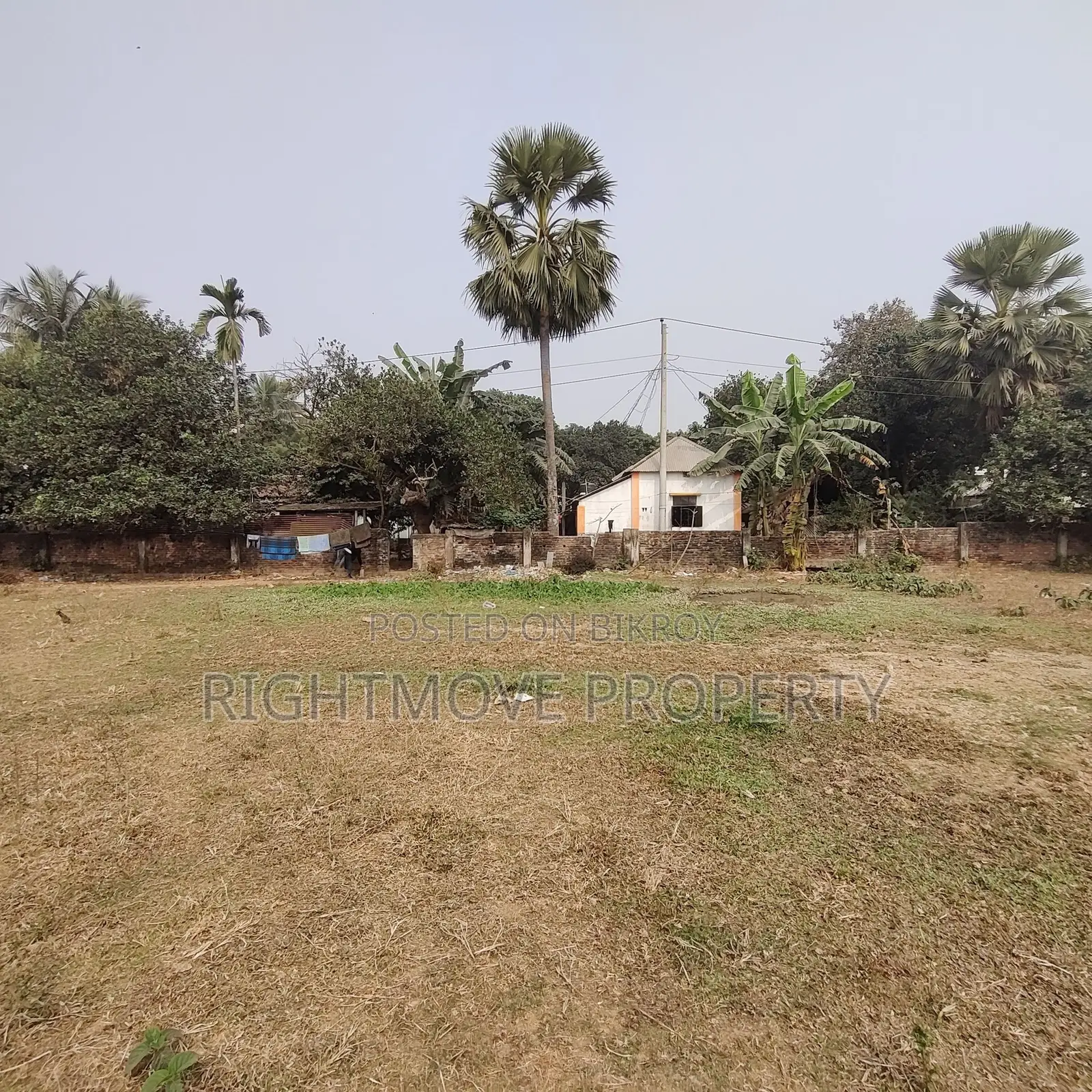04 Katha|Akran Bazar|Birulia|Savar|High Land in Savar
