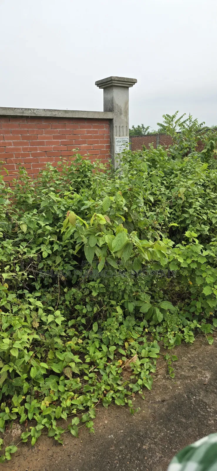 Rajuk Purbachal East Facing 5 Katha Plot in Purbachal
