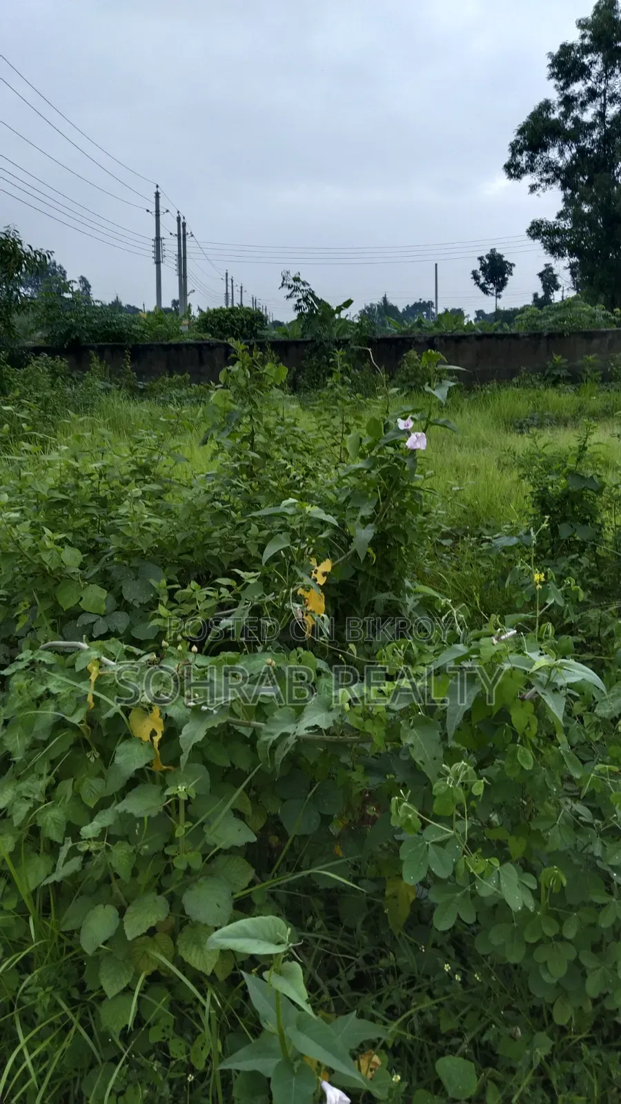 5 Katha Corner Plot Sector #10, Purbachal in Purbachal