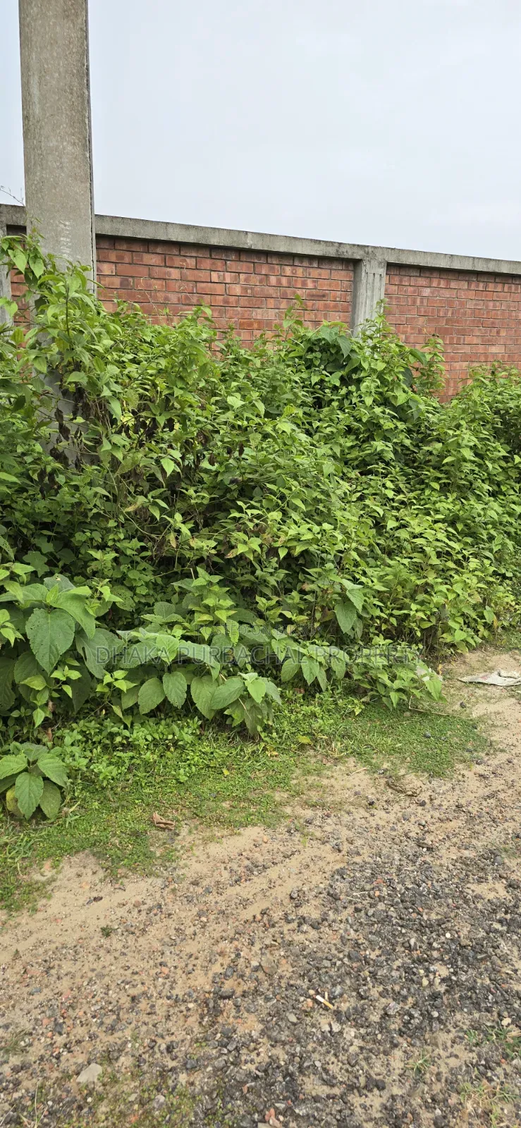 5 Katha Corner Plot for Sale in RAJUK Purbachal Suburb Sector-26 in Purbachal