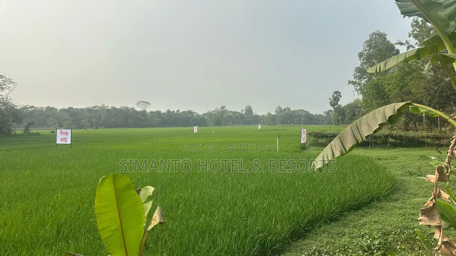 Land for Sale in Purbachal