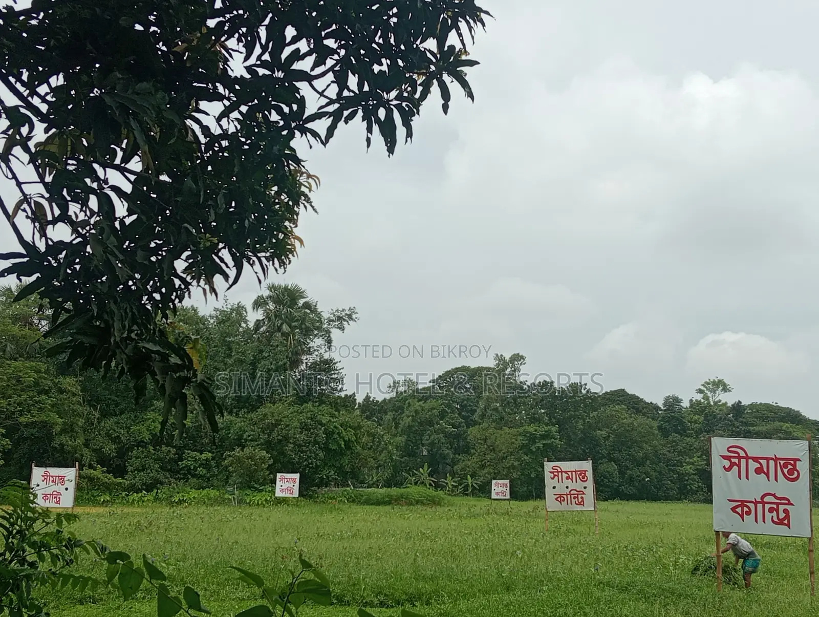 Land for Sale in Purbachal