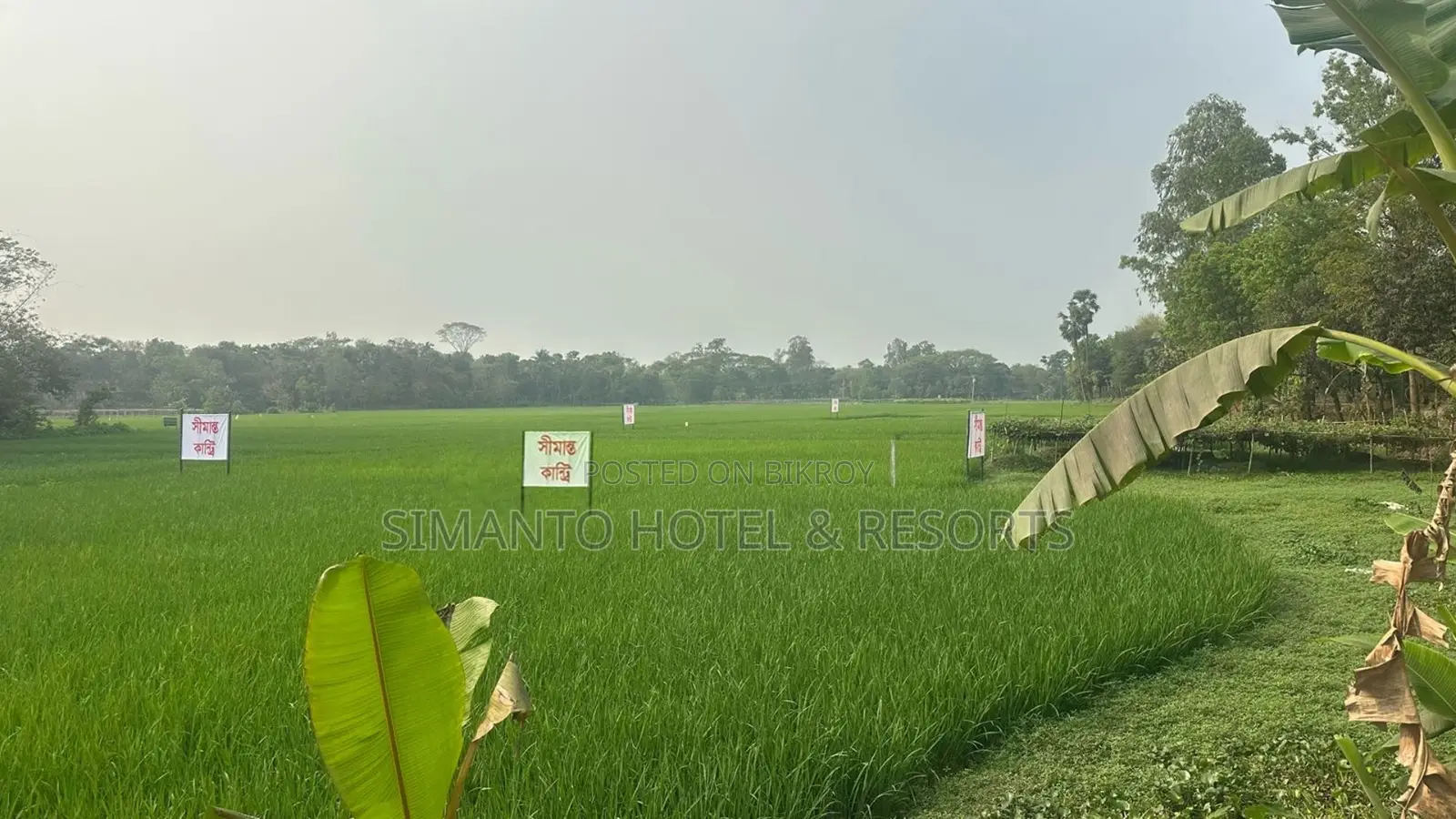 Land for Sale (Purbachal) in Purbachal