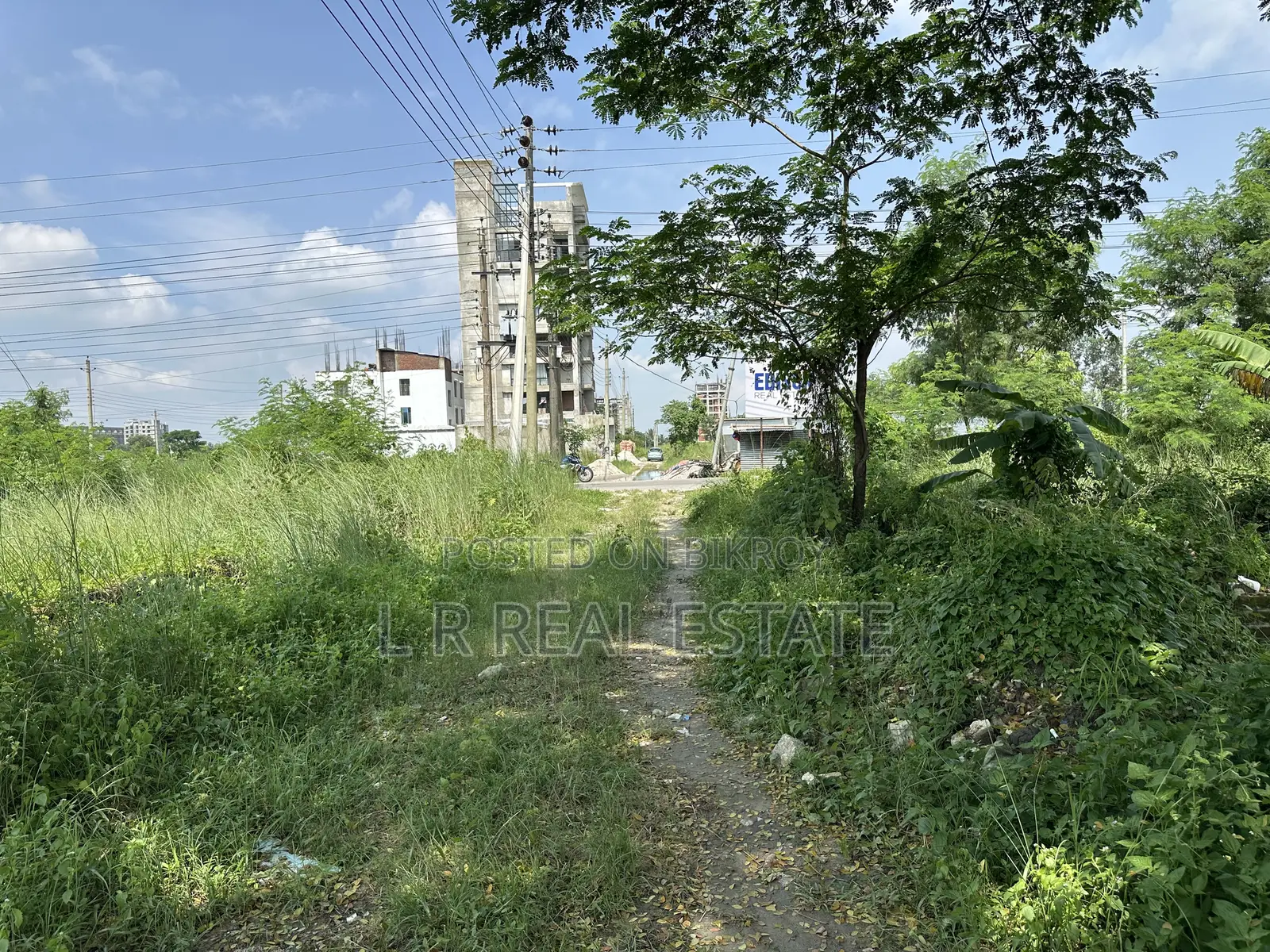 N-Block, 3-Katha, South-Face, 3700-Serial, Urgent Sell, Bashundhara R/A in Basundhara
