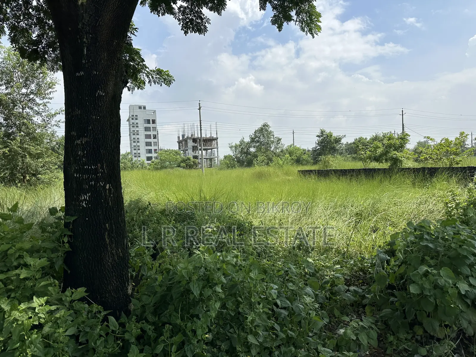N-Block, 3-Katha, South-Face, 3700-Serial, Urgent Sell, Bashundhara R/A in Basundhara