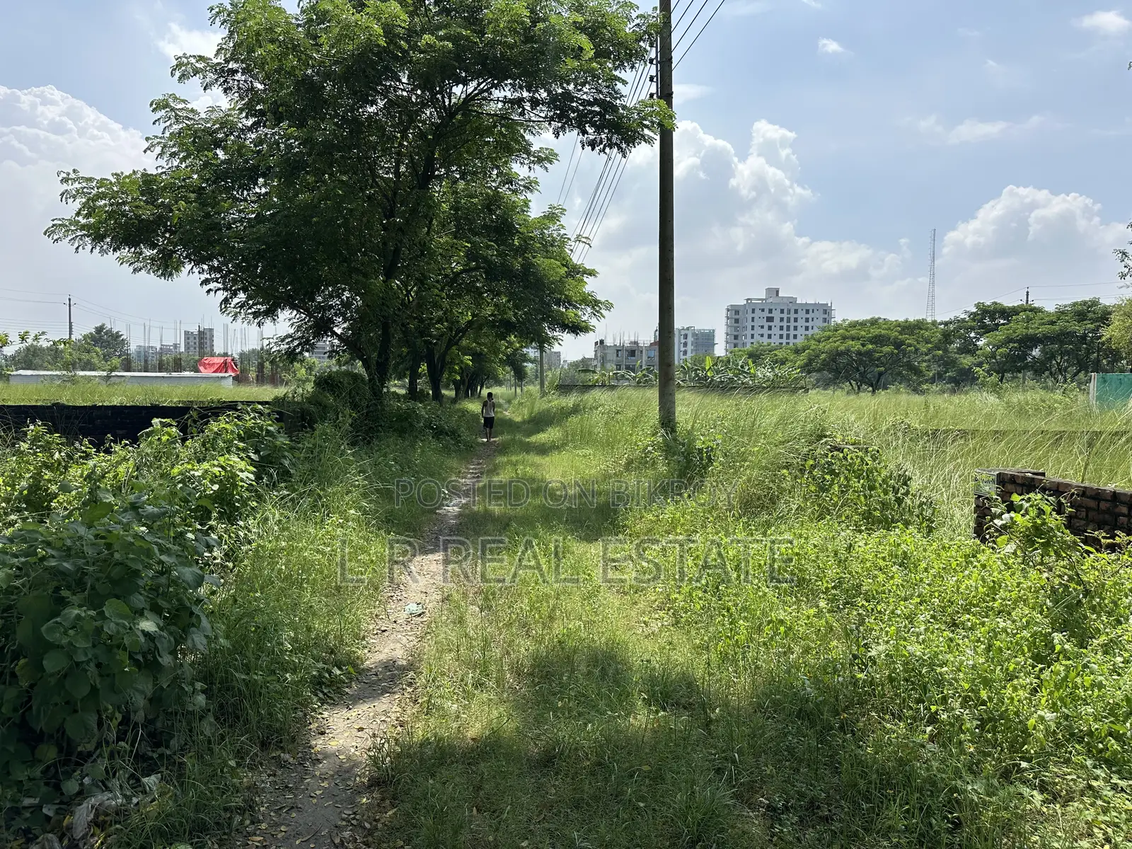 N-Block, 3-Katha, South-Face, 3700-Serial, Urgent Sell, Bashundhara R/A in Basundhara