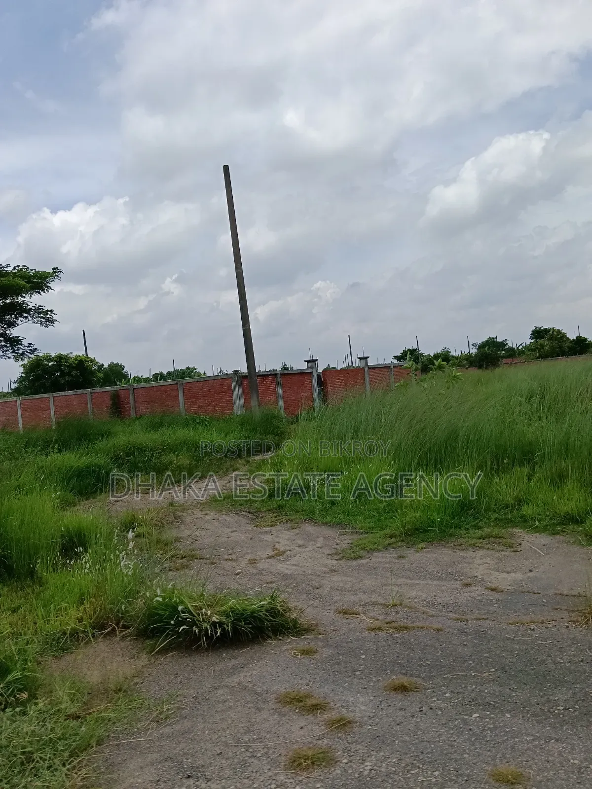 Sector-8 in 5 Wooden Plots Above 100 Feet Road in Purbachal