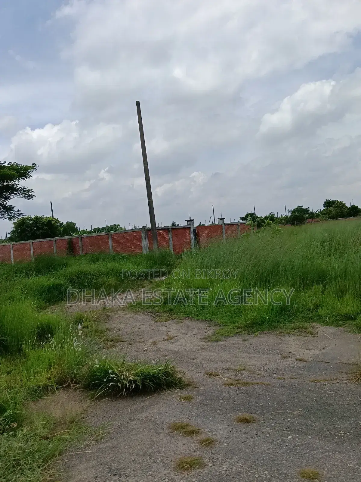 Sector-8 in 5 Wooden Plots Above 100 Feet Road in Purbachal
