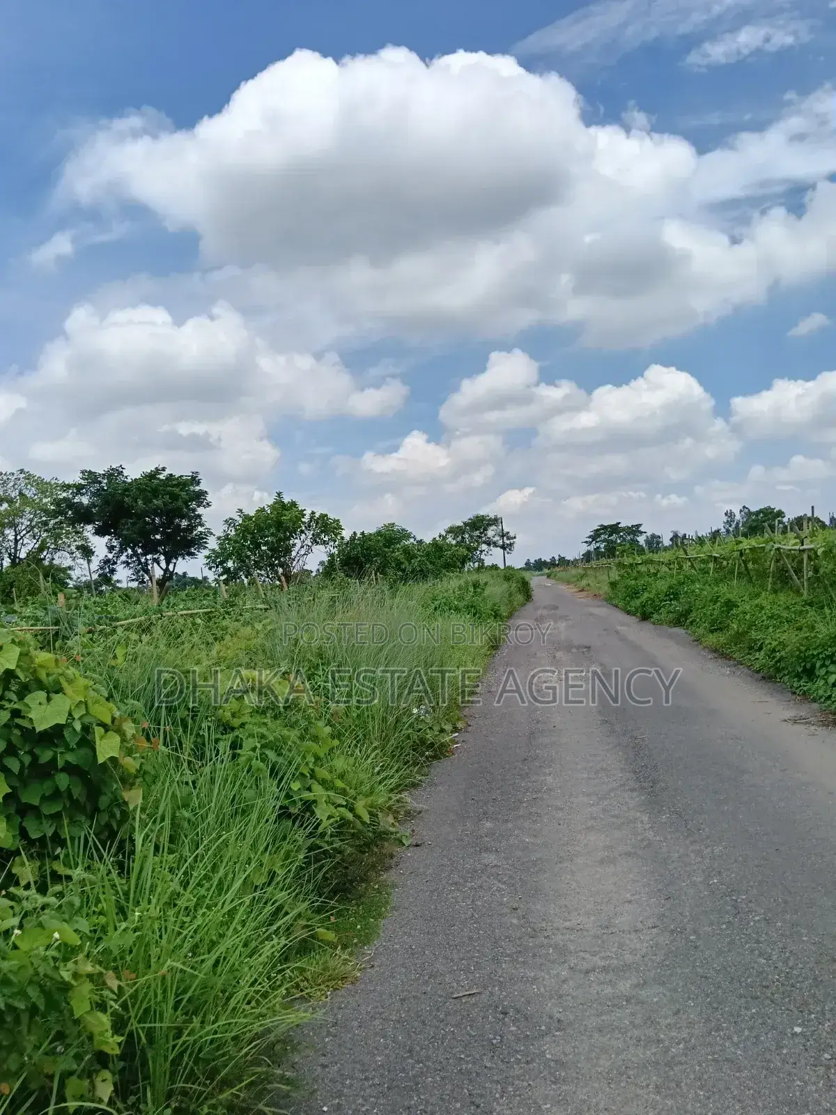 Sector-8 in 5 Wooden Plots Above 100 Feet Road in Purbachal