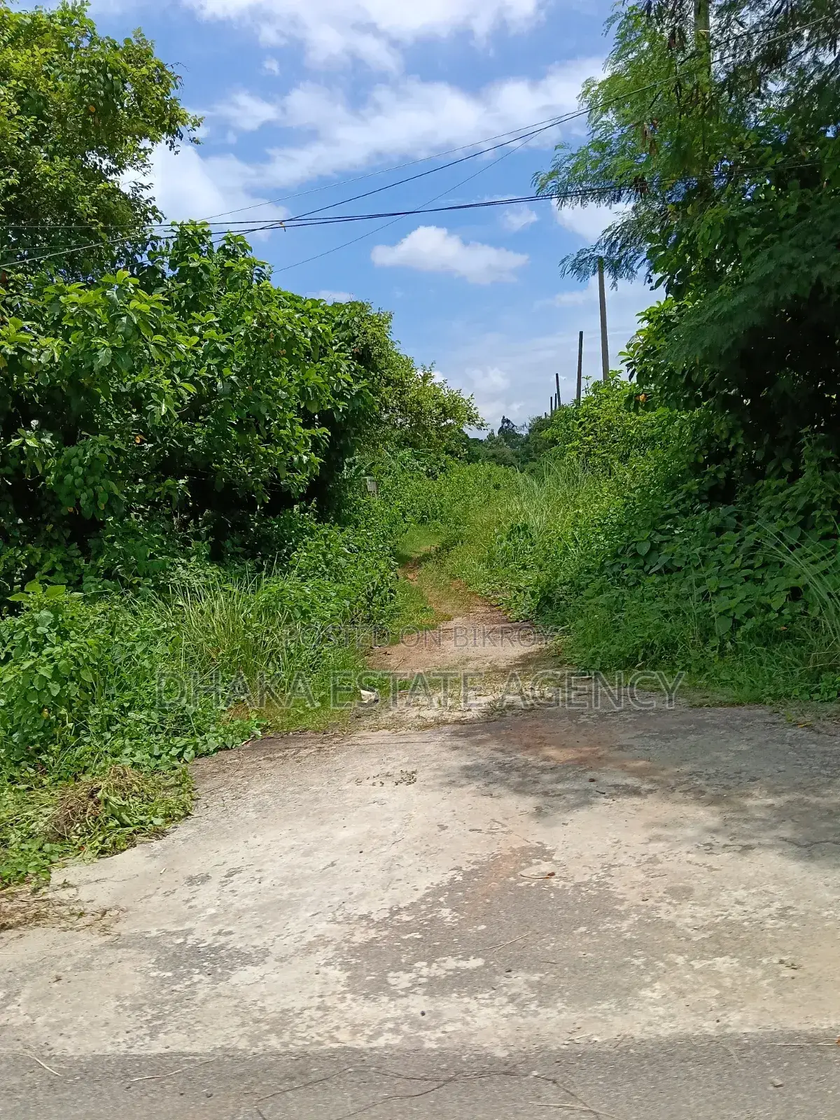 Sector-25, Road 54 Feet 5 Katha Plot Sale in Purbachal