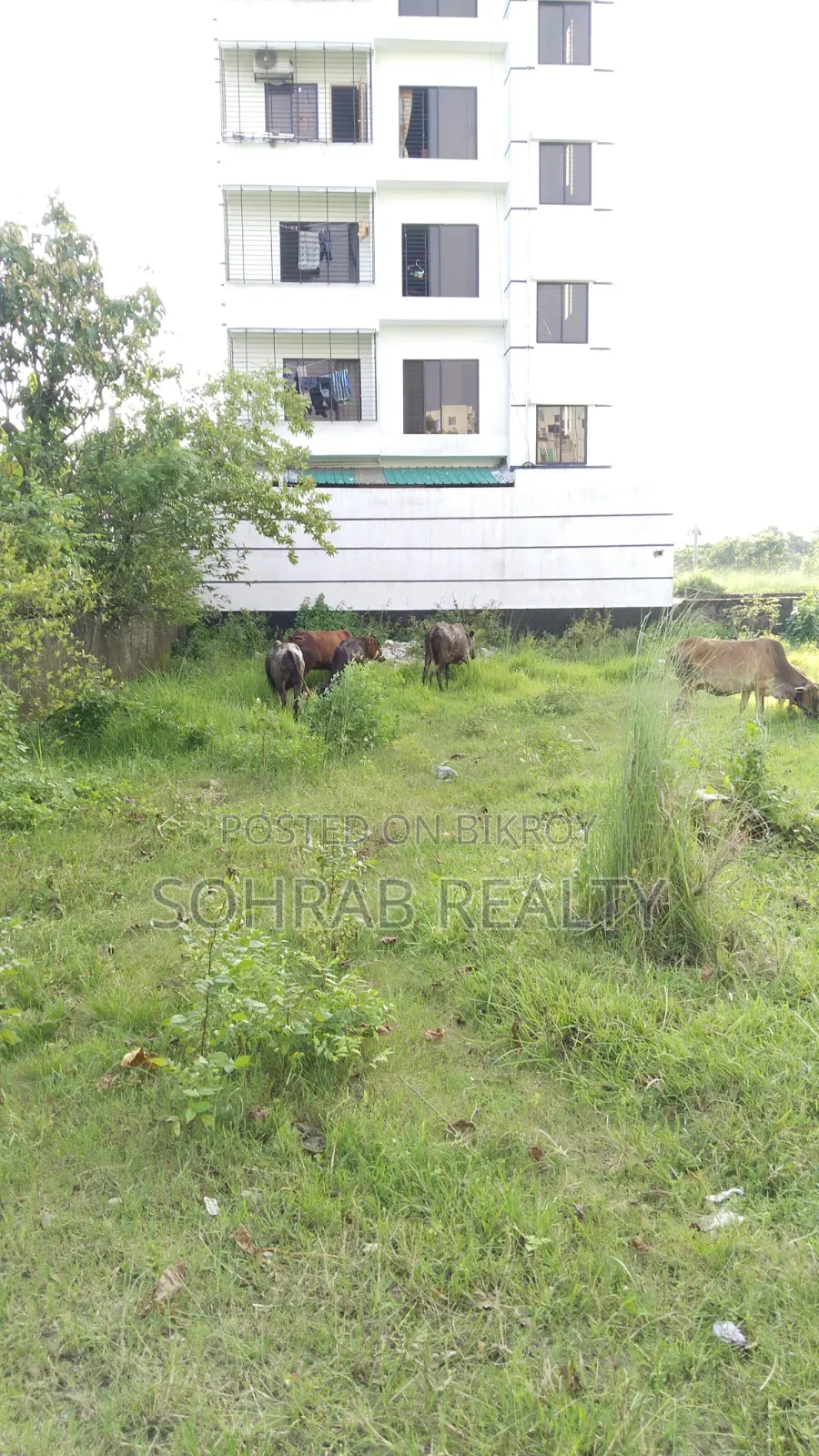 3 Katha (East facing, 60-foot road) Sector #17/J, Uttara in Uttara