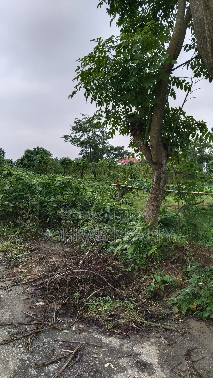 10 Katha 300 Fit Sector #02, Purbachal in Purbachal