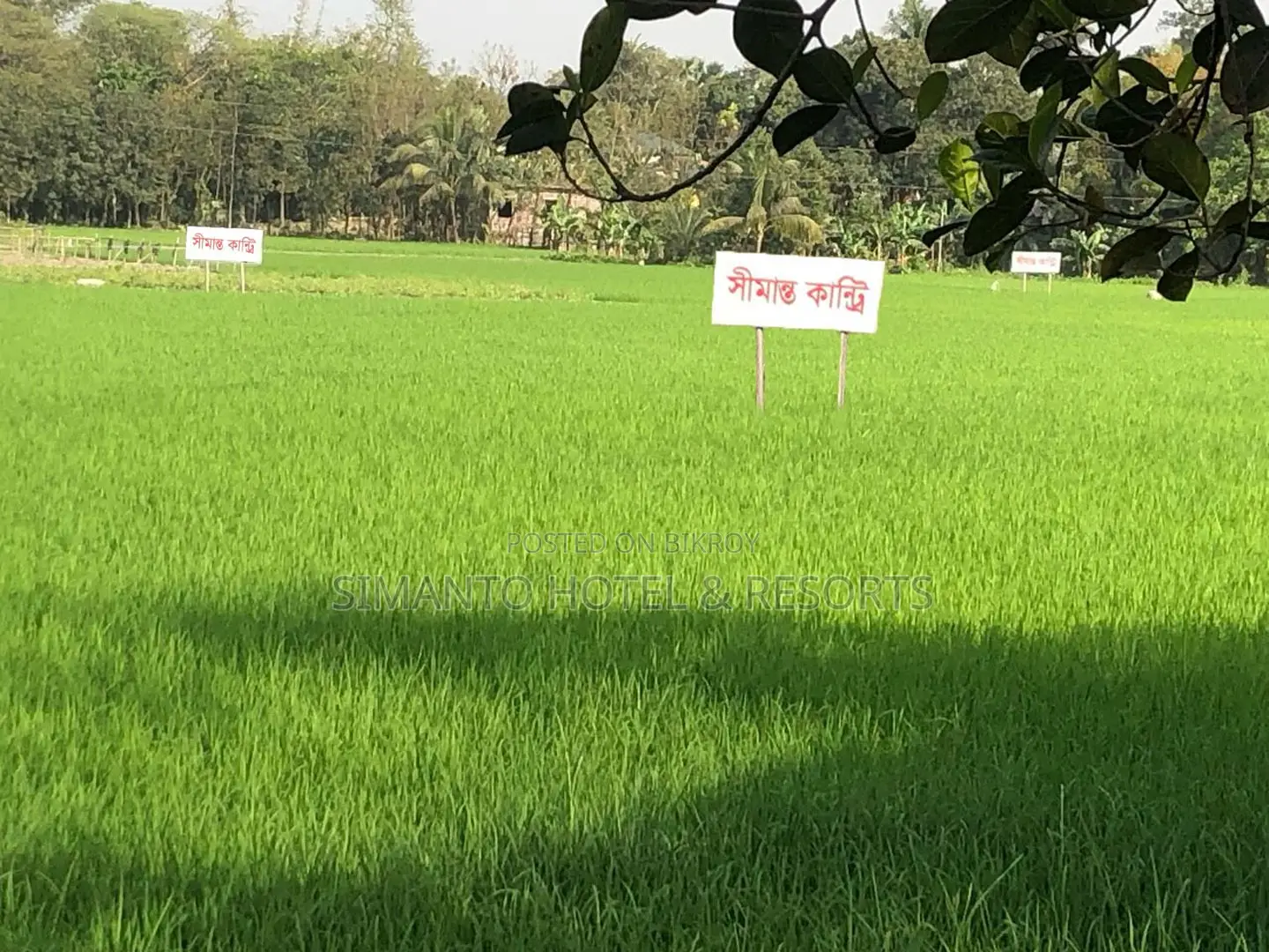 Premium Land for Sale in Purbachal