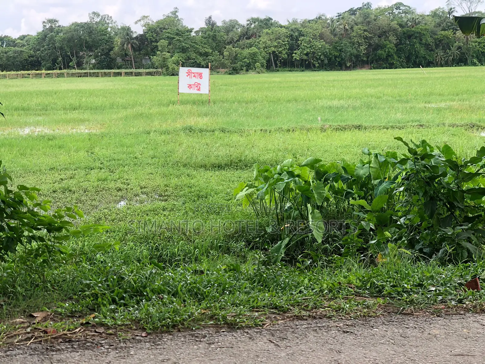 Premium Land for Sale in Purbachal