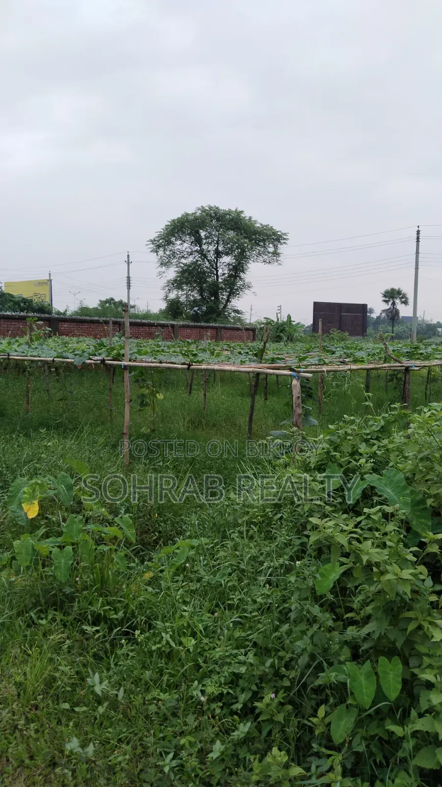 5 Katha (30x54'), Sector #07, Purbachal in Purbachal