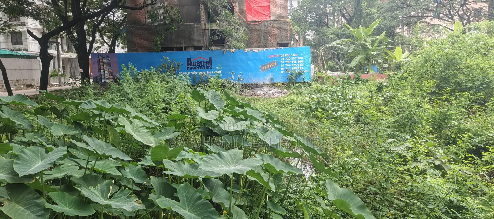 P Block 5 Katha Plot for Sale, Bashundhara R/A, Baridhara. in Basundhara