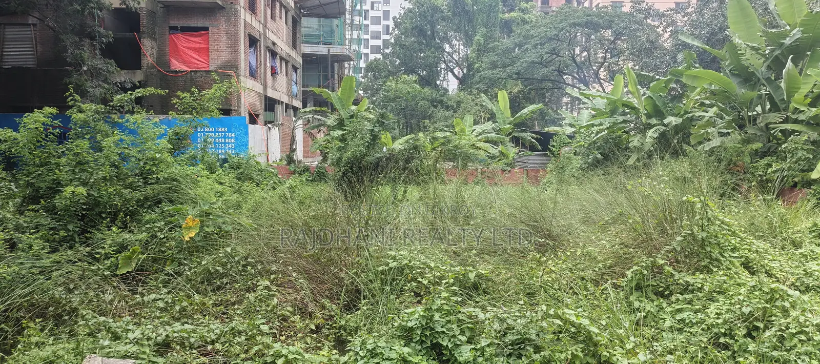 P Block 5 Katha Plot for Sale, Bashundhara R/A, Baridhara. in Basundhara