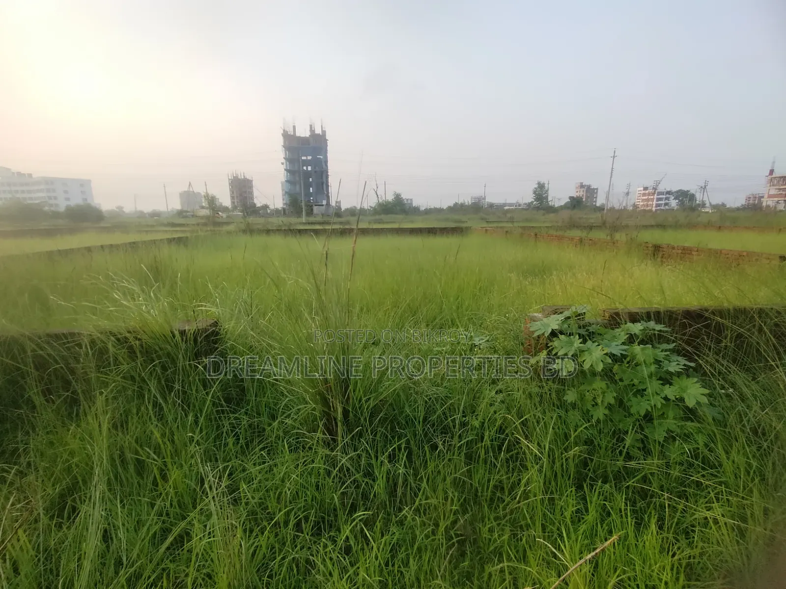 N-Block, Near 300 Feet 3 Katha Plot Sale in Bashundhara RA in Basundhara