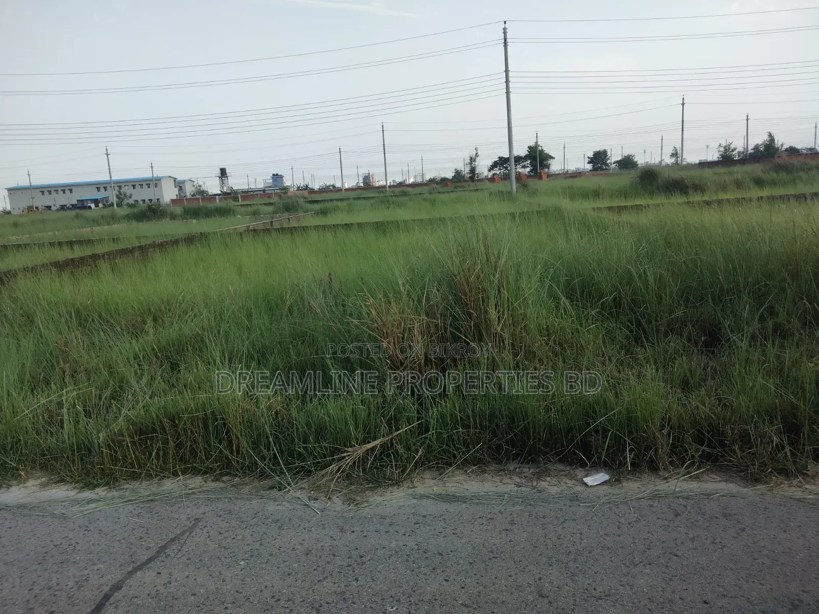 N-Block, Near 300 Feet 3 Katha Plot Sale in Bashundhara RA in Basundhara