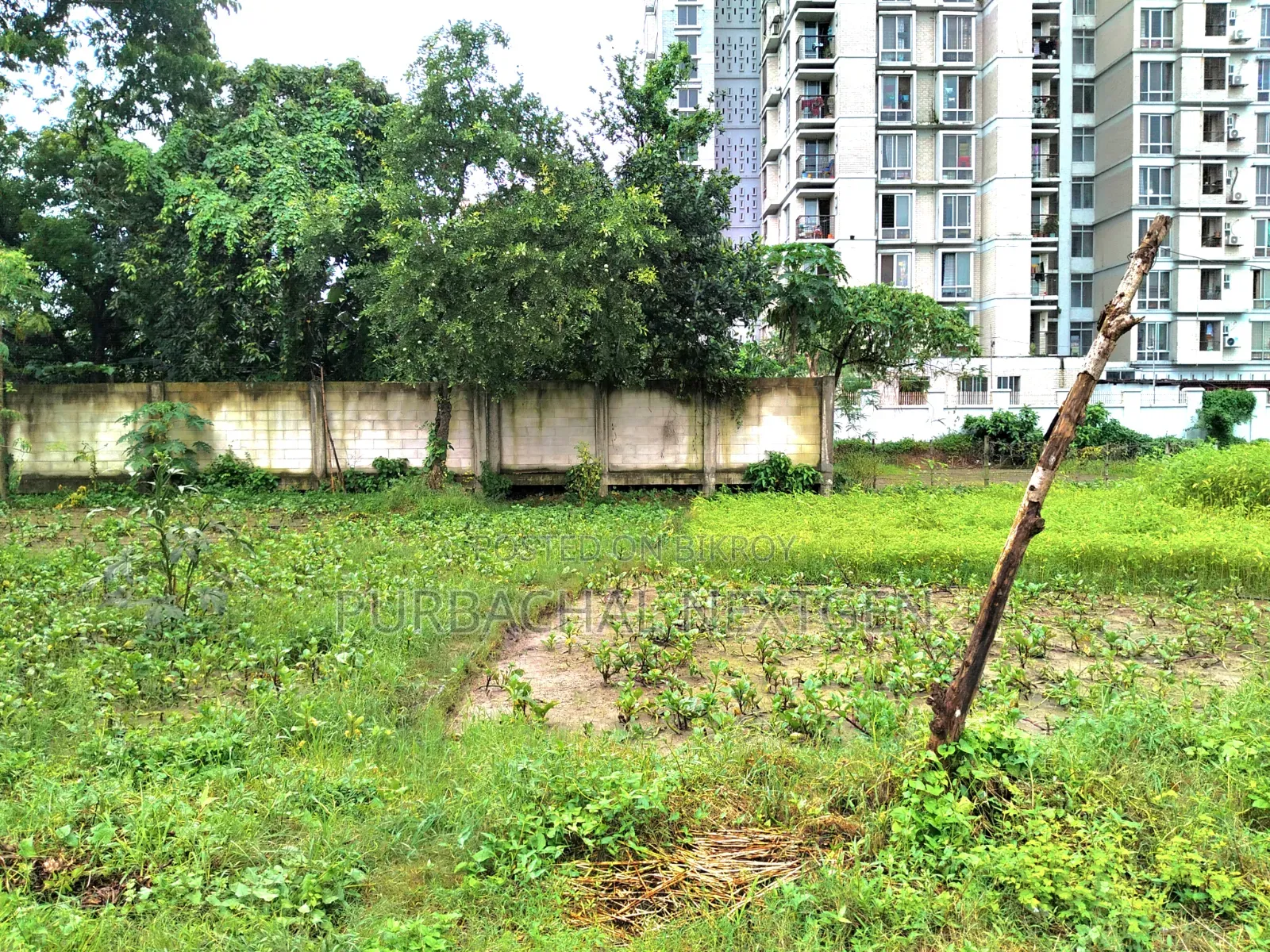 United City Madani Avenue South Facing 3 Katha Plot Sale at 100 Feet in Basundhara