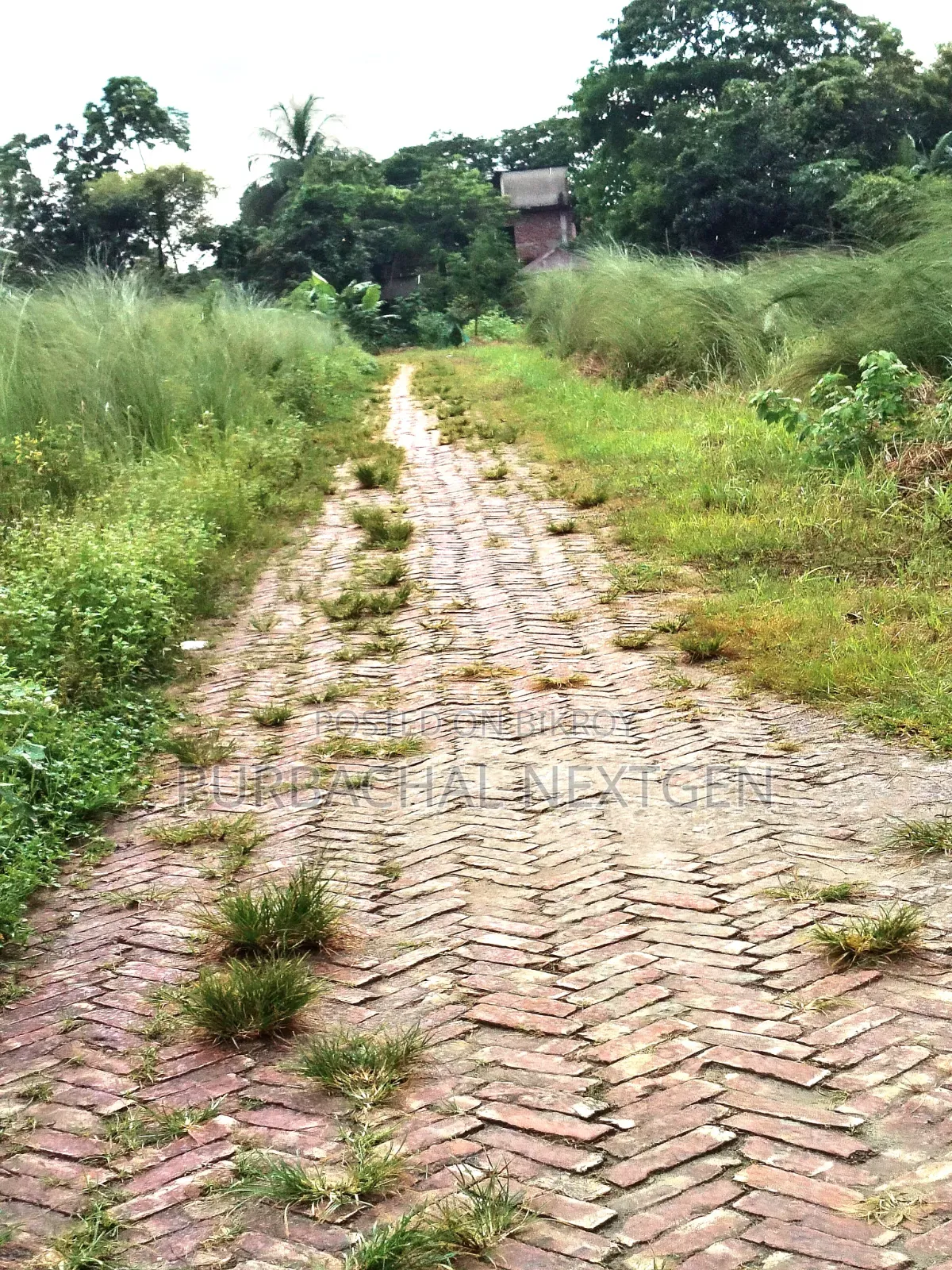 United City Madani Avenue South Facing 3 Katha Plot Sale at 100 Feet in Basundhara