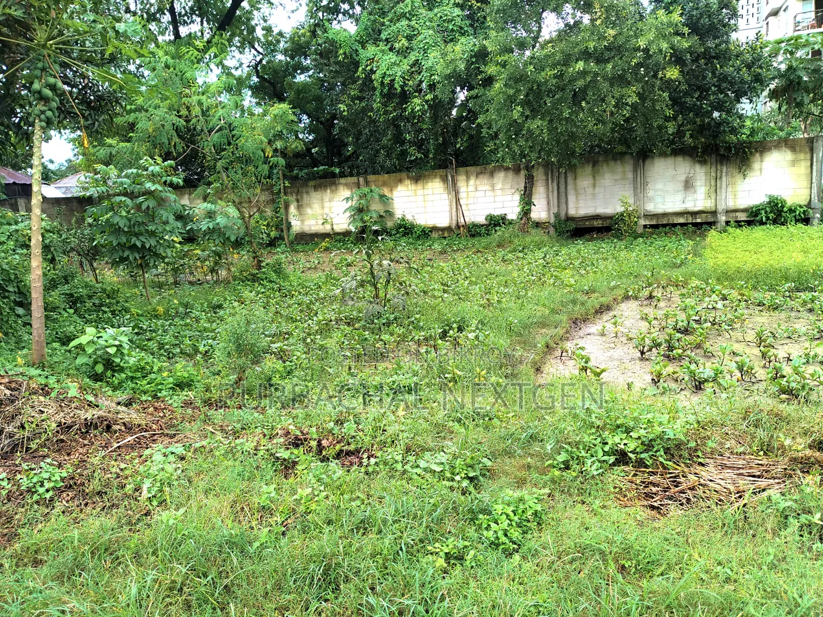 United City Madani Avenue South Facing 3 Katha Plot Sale at 100 Feet in Basundhara