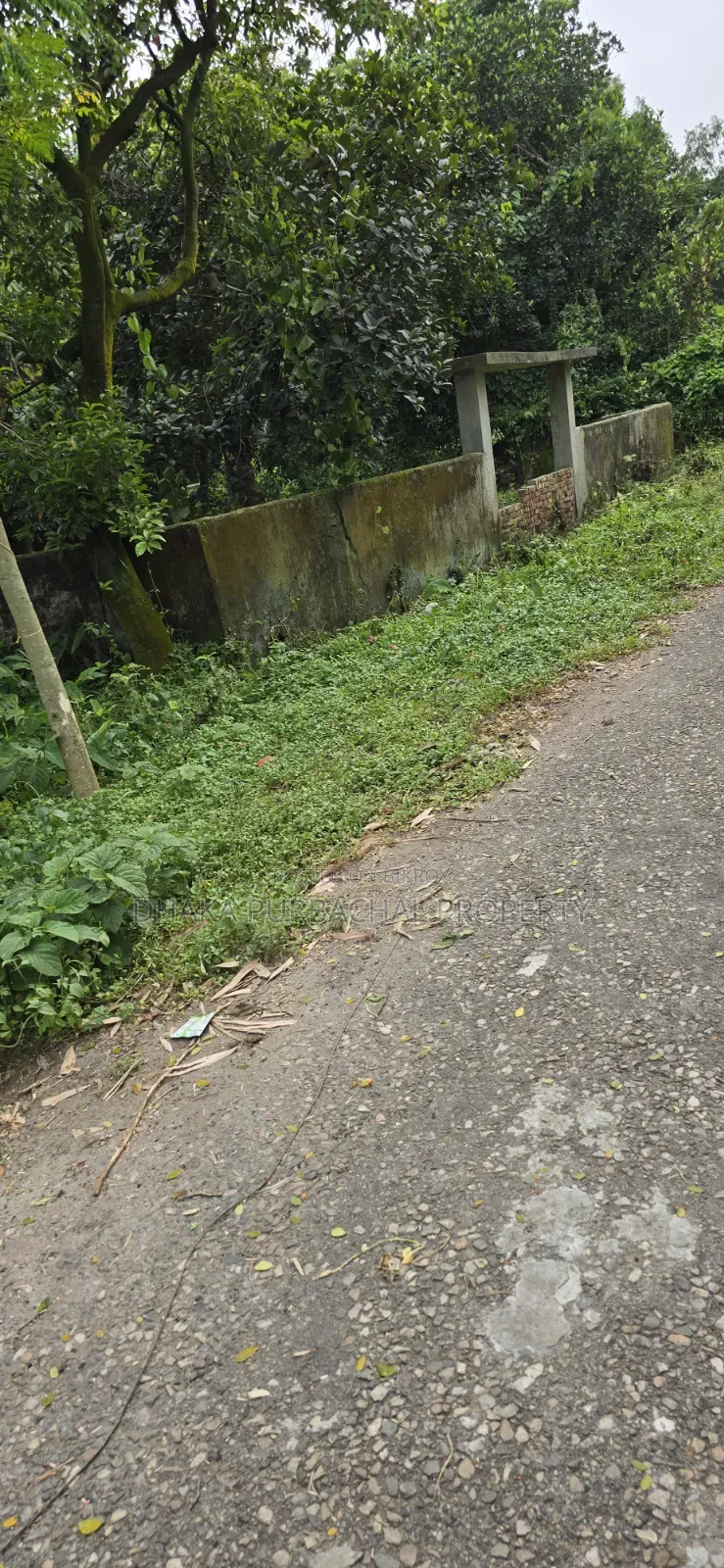 3 Katha Allotted Probashi Category Plot Sell in Purbachal