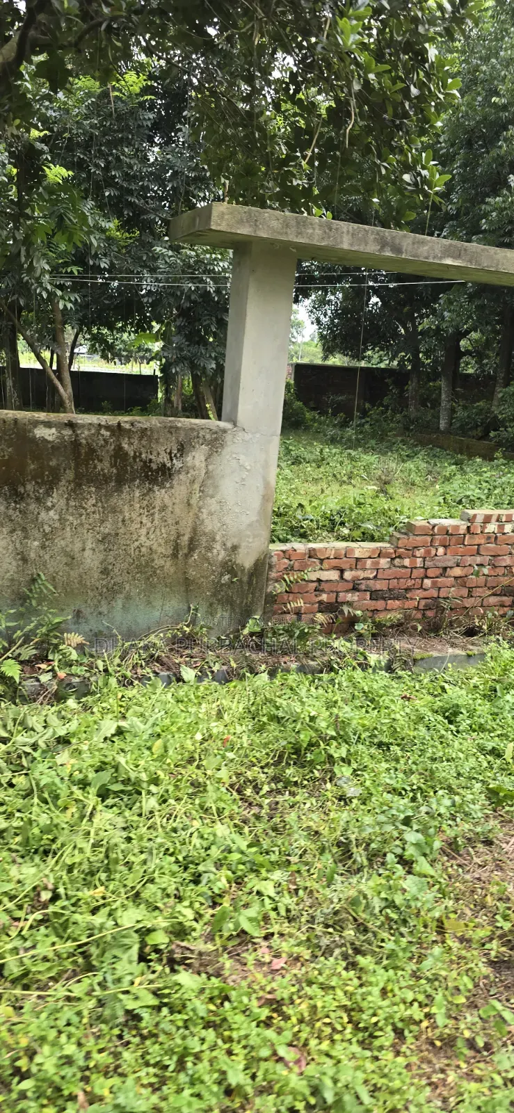 3 Katha Allotted Probashi Category Plot Sell in Purbachal