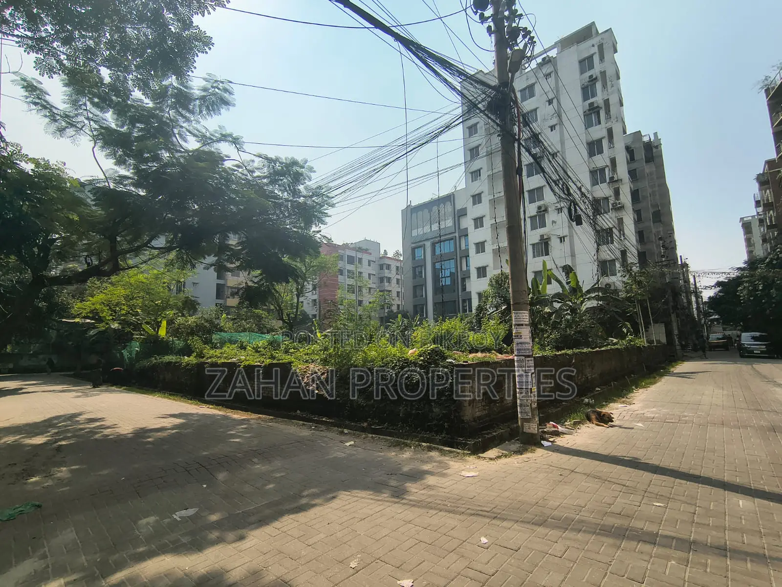 A Block 10 Katha Corner Plot for Sale in Basundhara