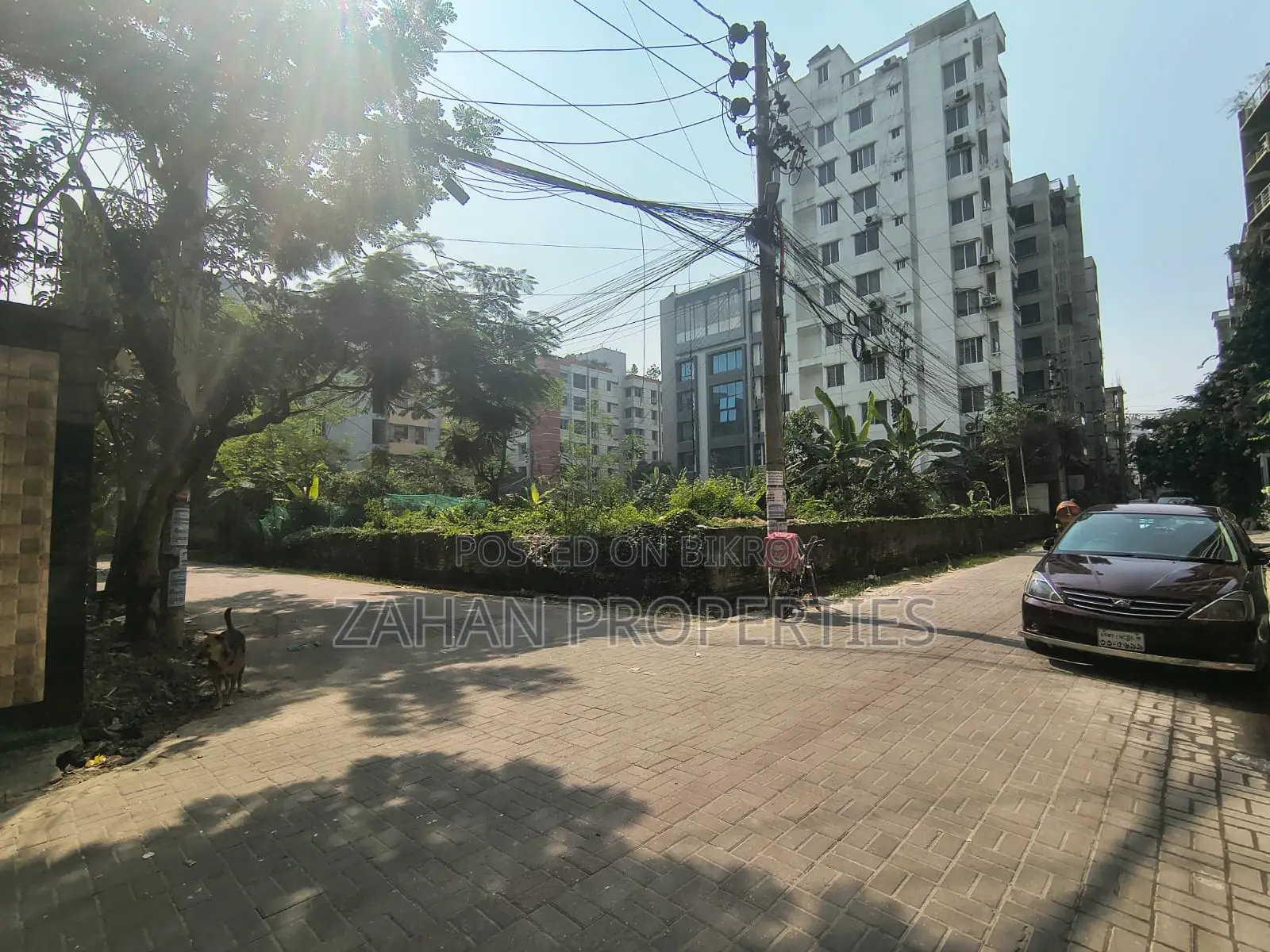 A Block 10 Katha Corner Plot for Sale in Basundhara