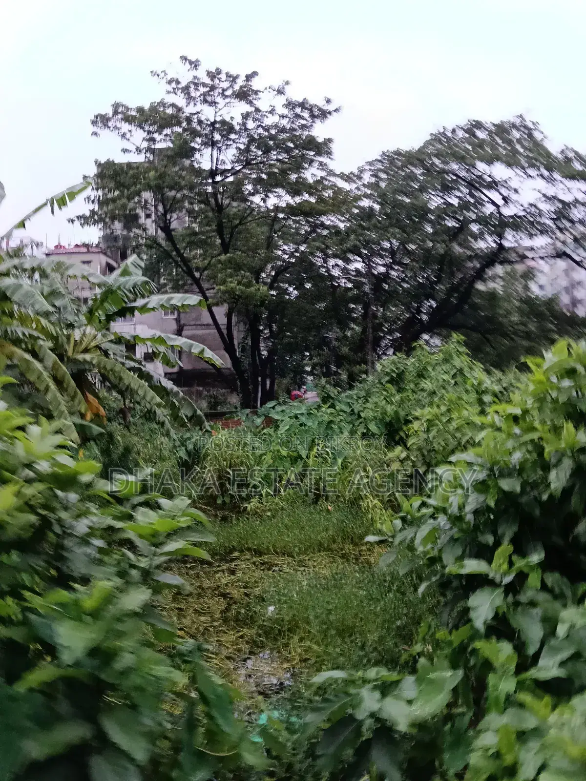 Block-M, South Face 2nd Corner Plot in Basundhara