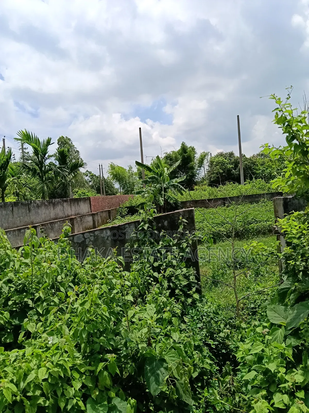 Block-N, South Face 10+10+10=30 Katha Plot Sale in Basundhara