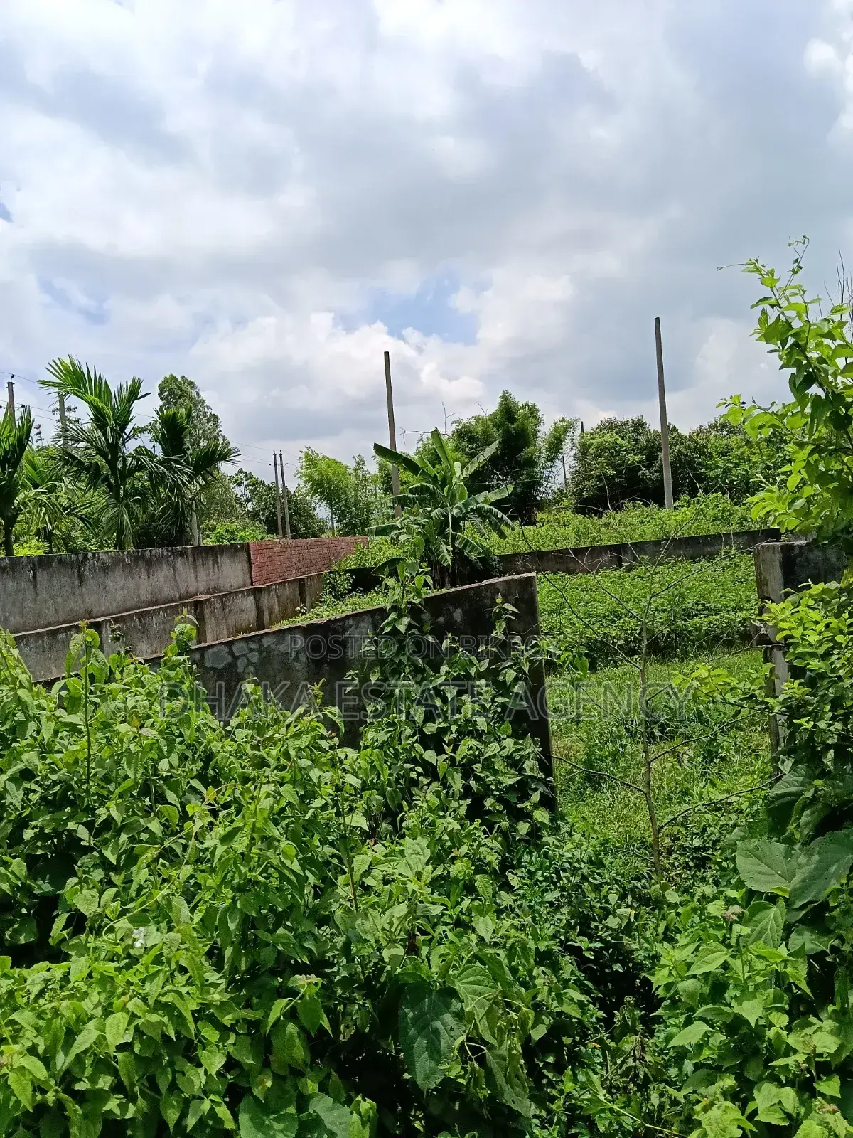 Block-N, South Face 10+10+10=30 Katha Plot Sale in Basundhara